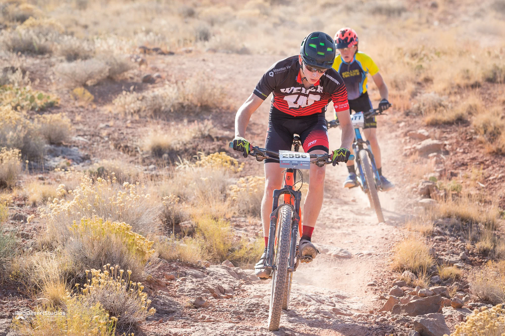 2556 Web (3 of 6).JPG