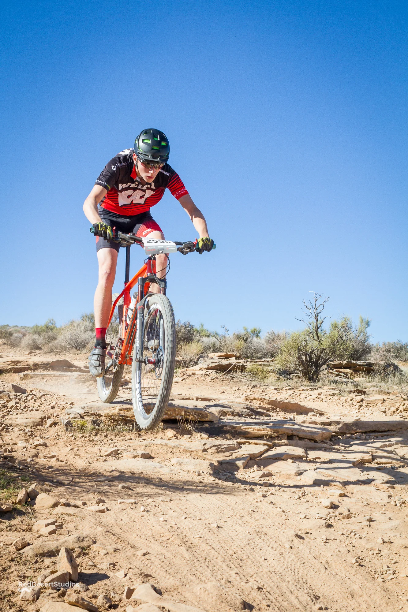 2556 Web (6 of 6).JPG