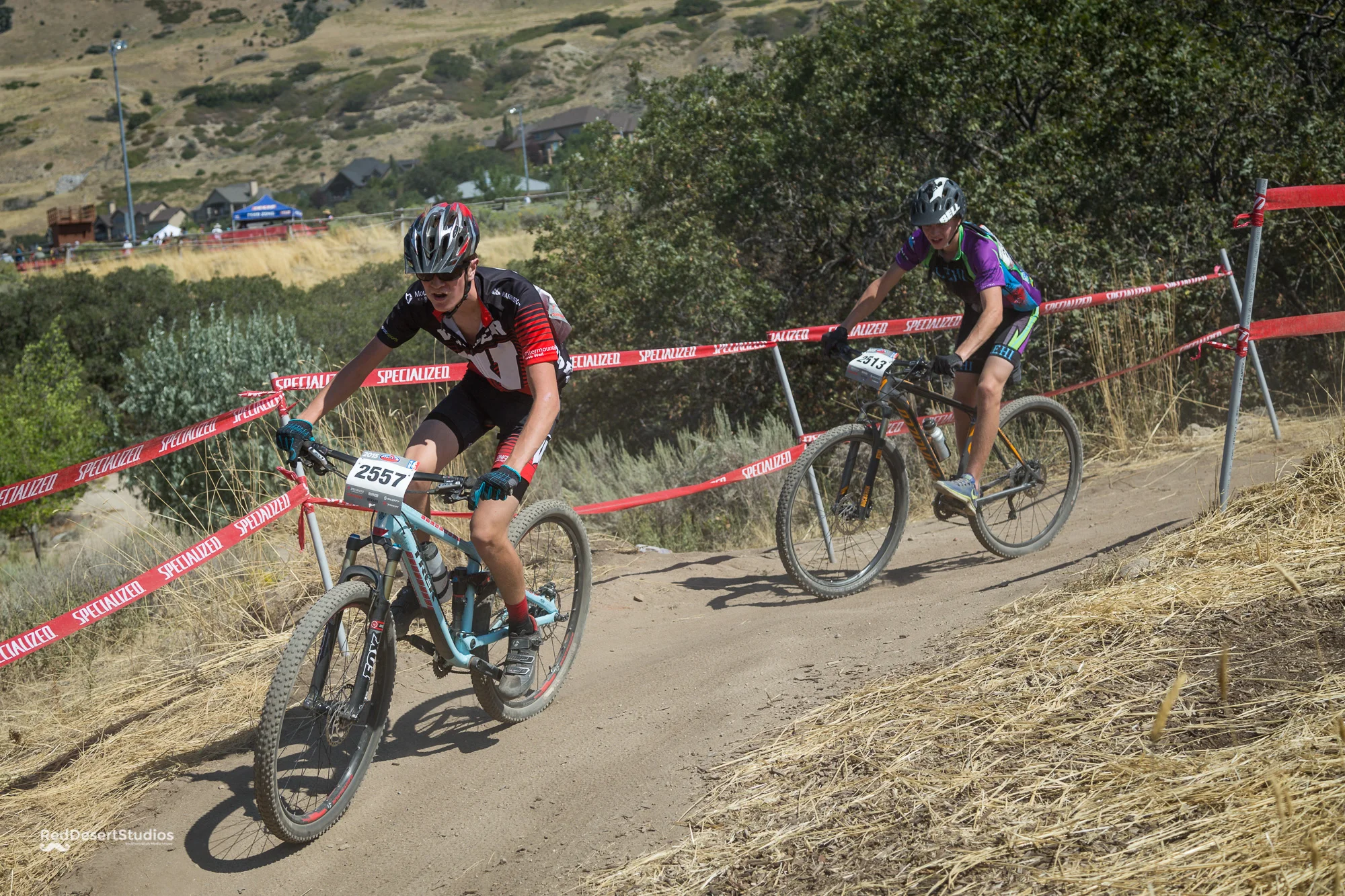 2557 Web (2 of 6).JPG