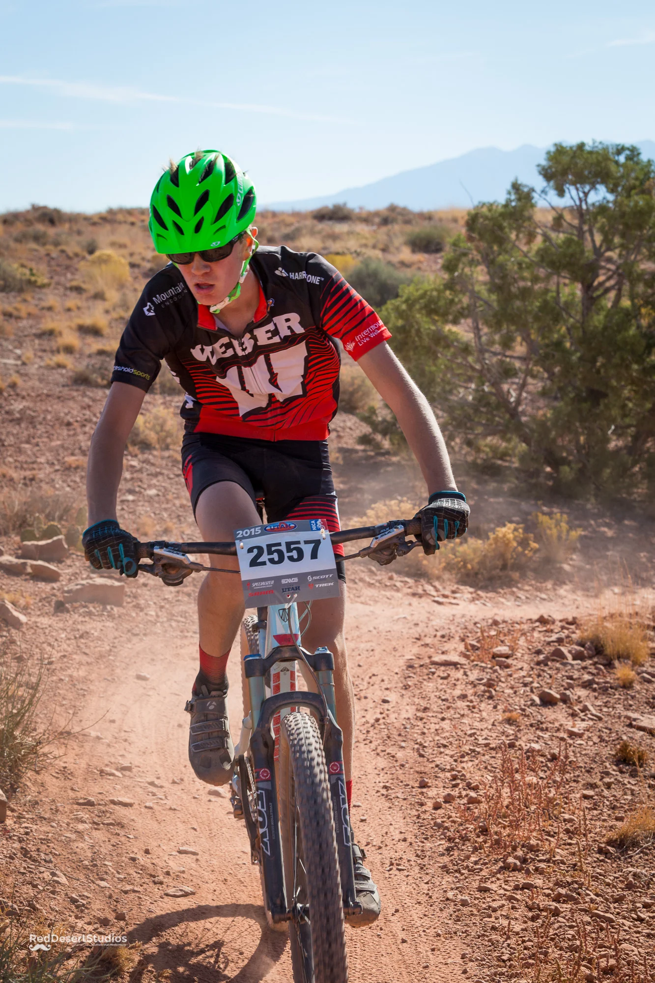 2557 Web (4 of 6).JPG