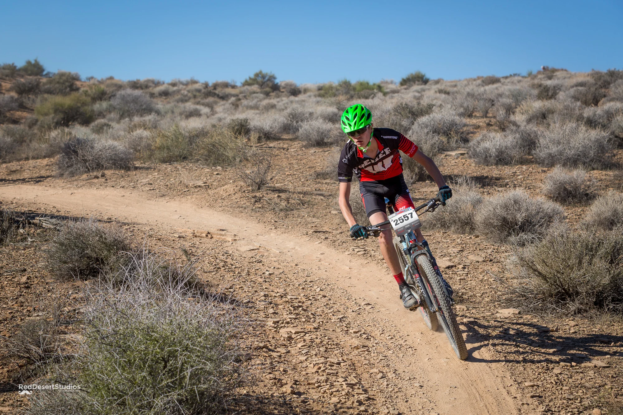 2557 Web (5 of 6).JPG