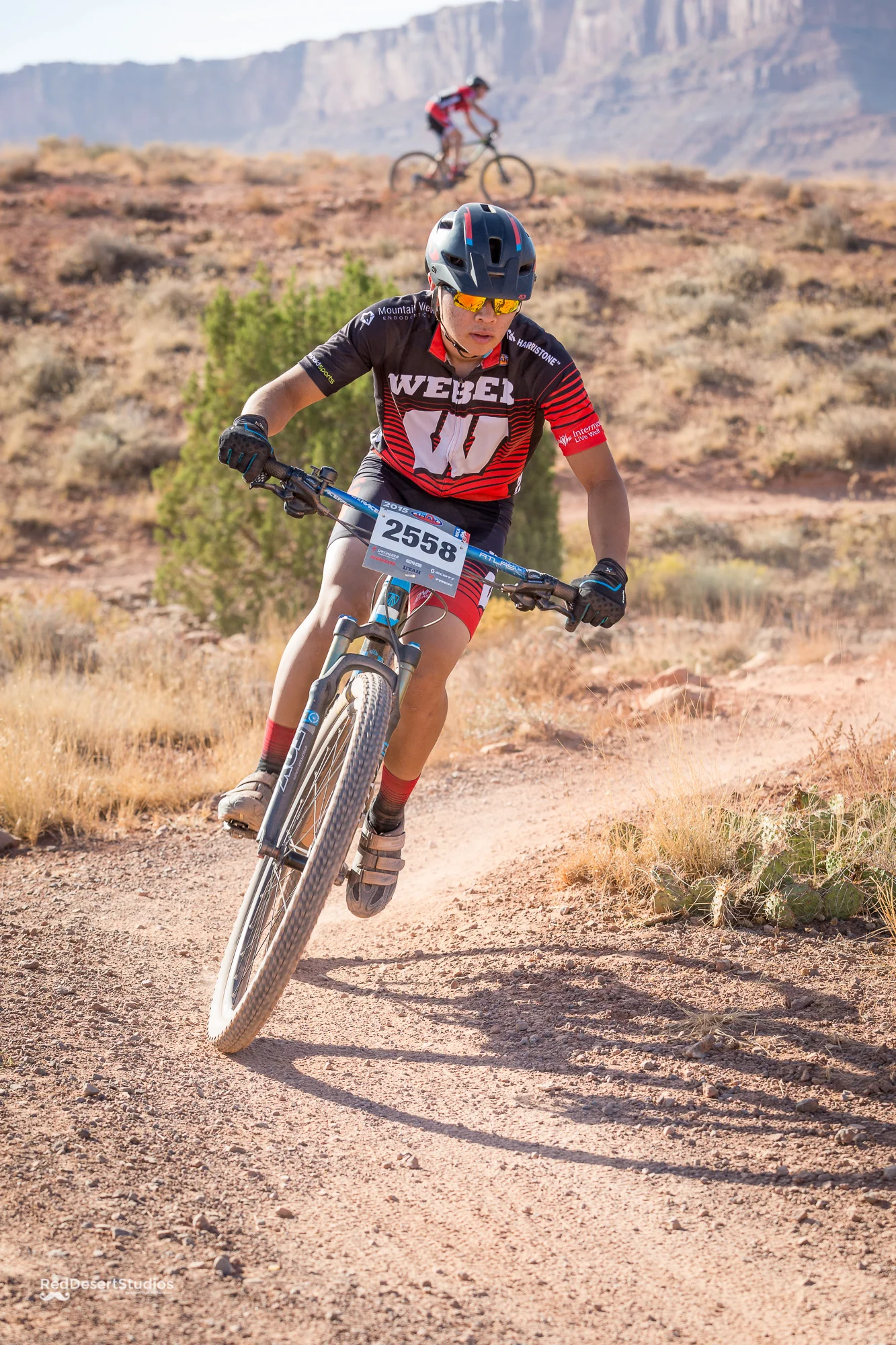 2558 Web (2 of 5).JPG