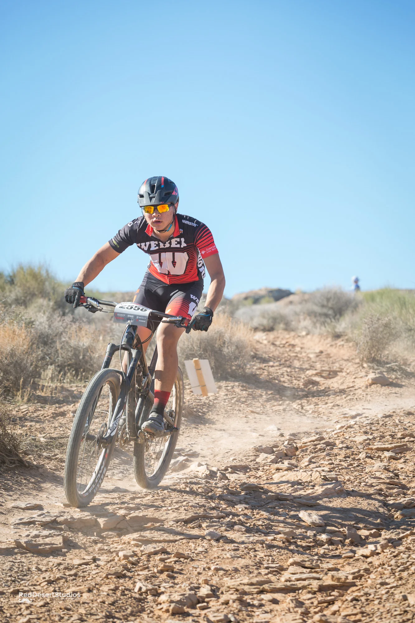 2558 Web (4 of 5).JPG