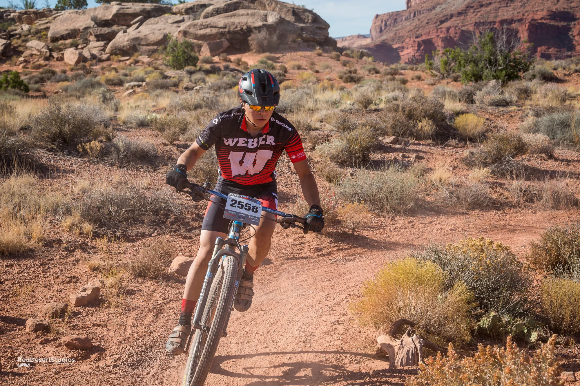 2558 Web (3 of 5).JPG