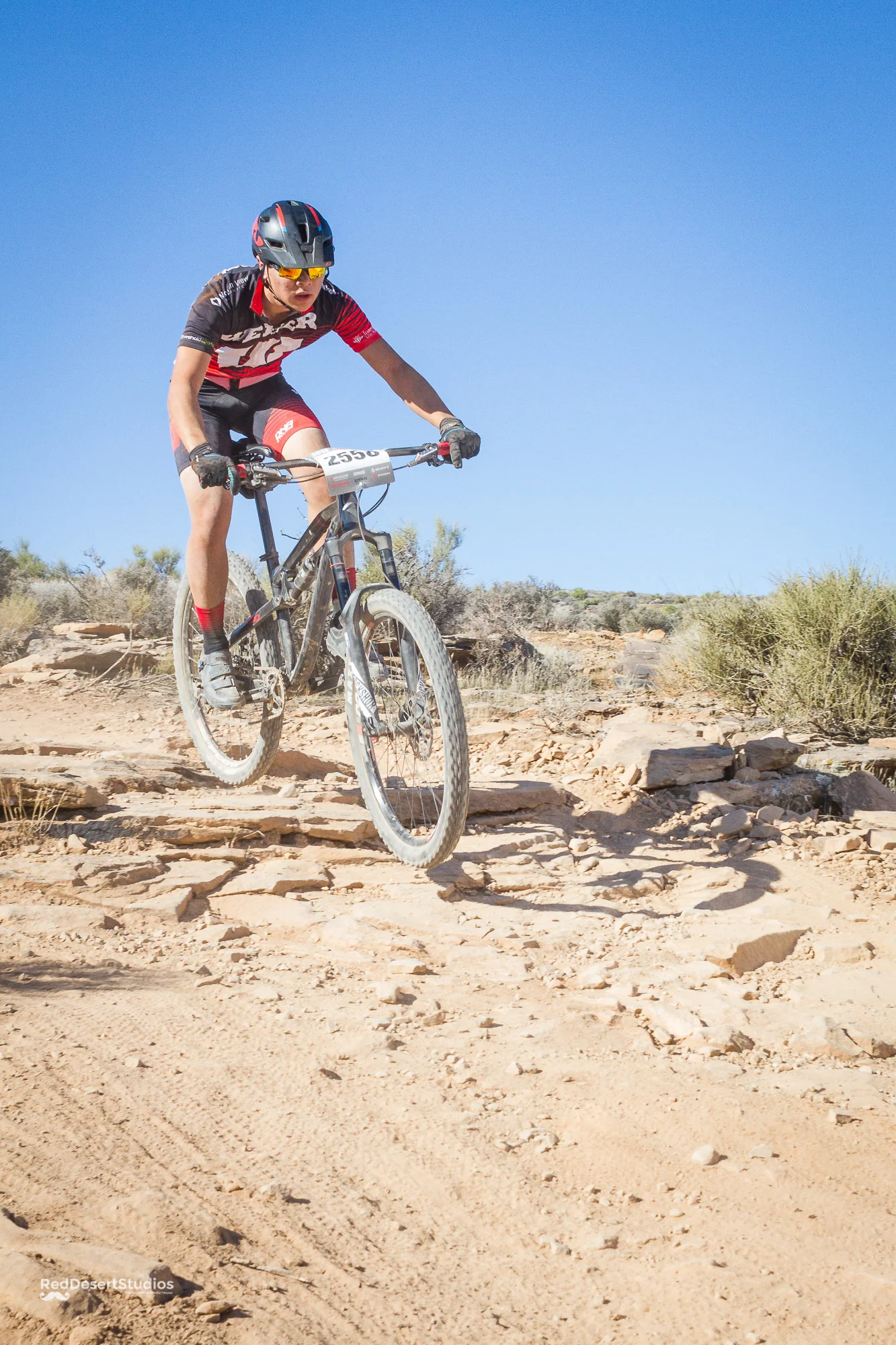 2558 Web (5 of 5).JPG