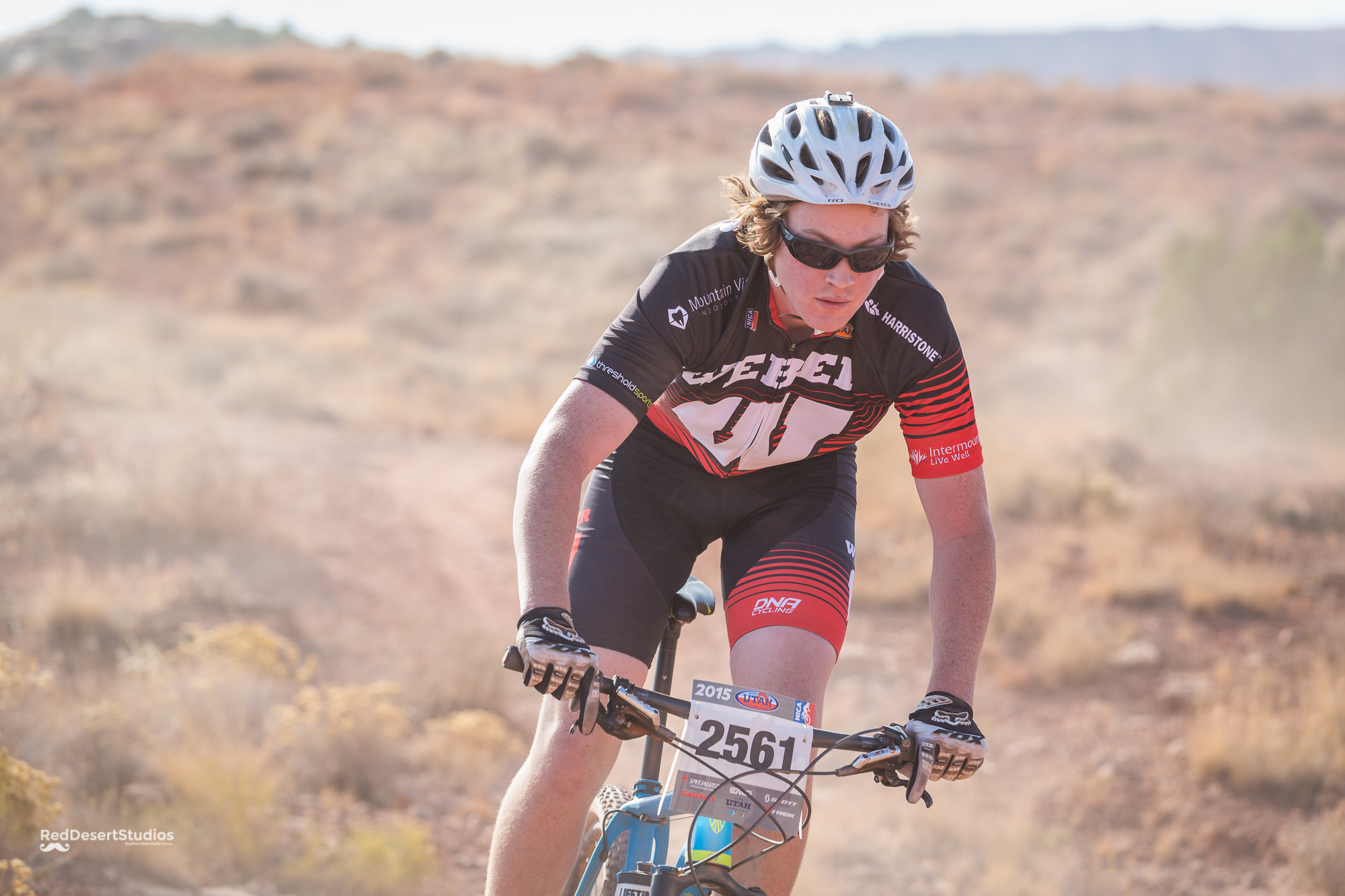 2561 Web (2 of 2).JPG