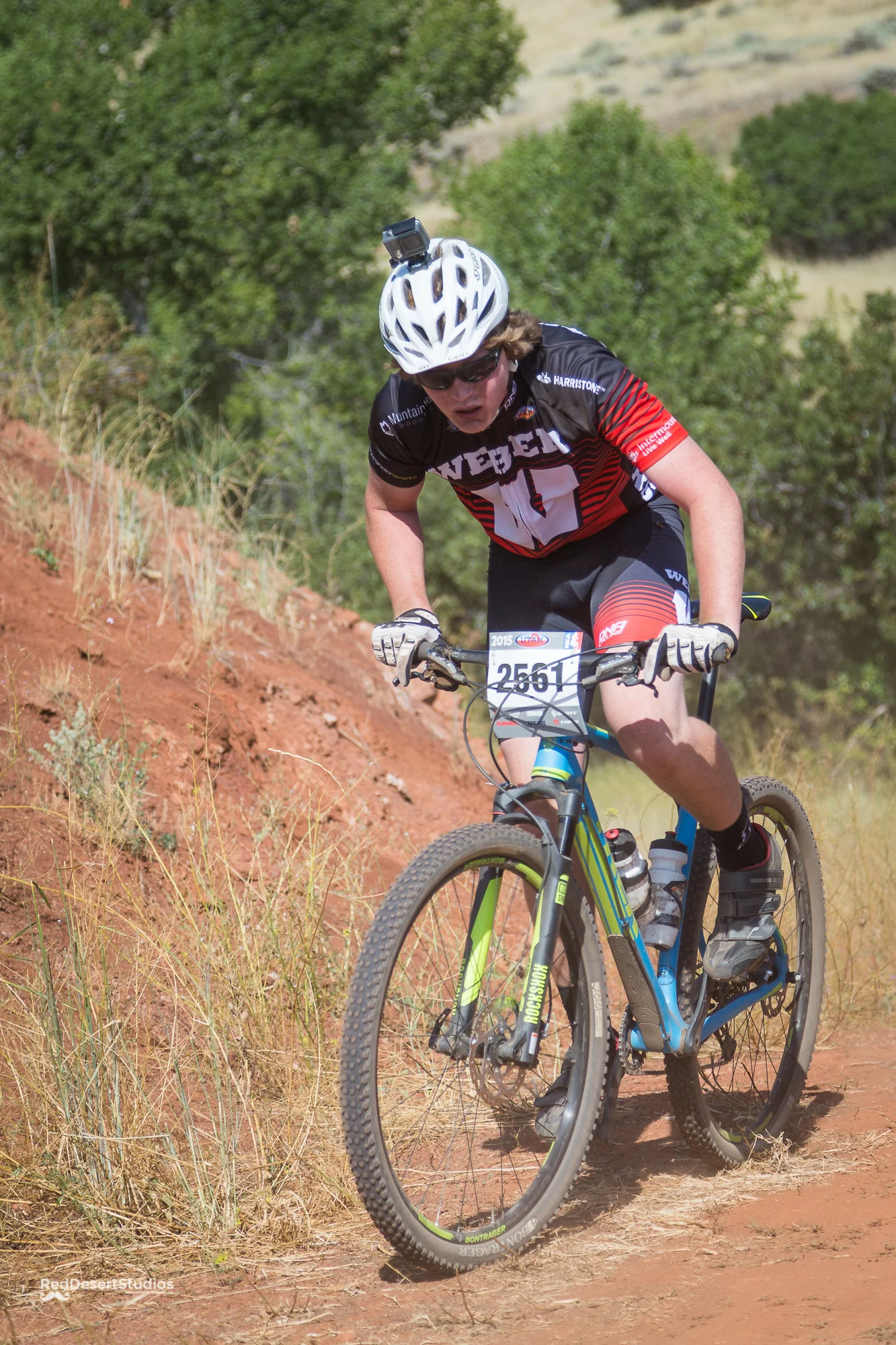 2561 Web (1 of 2).JPG