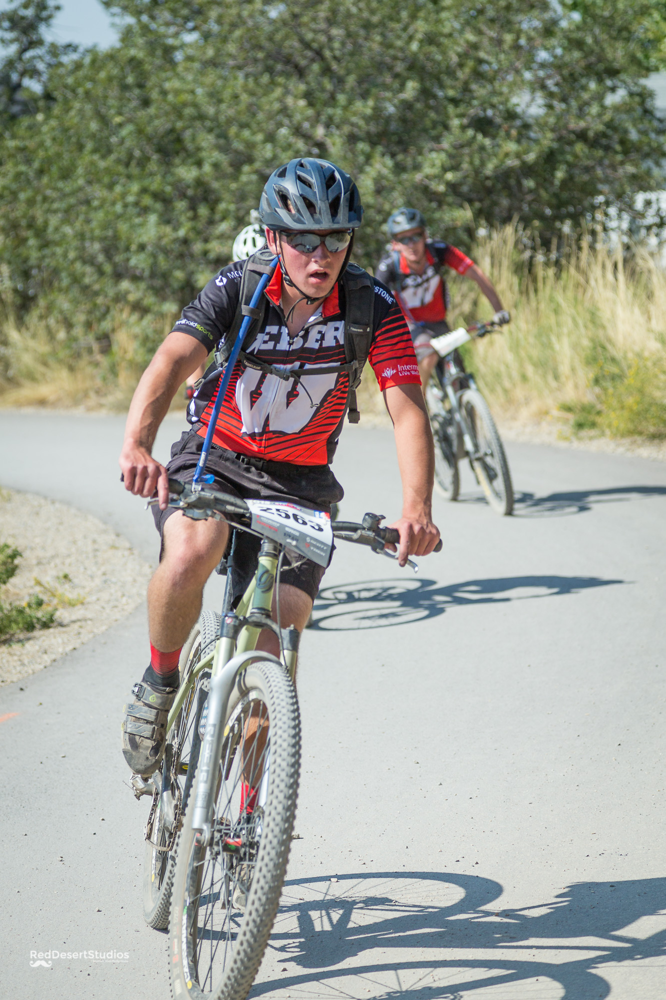 2563 Web (1 of 1).JPG