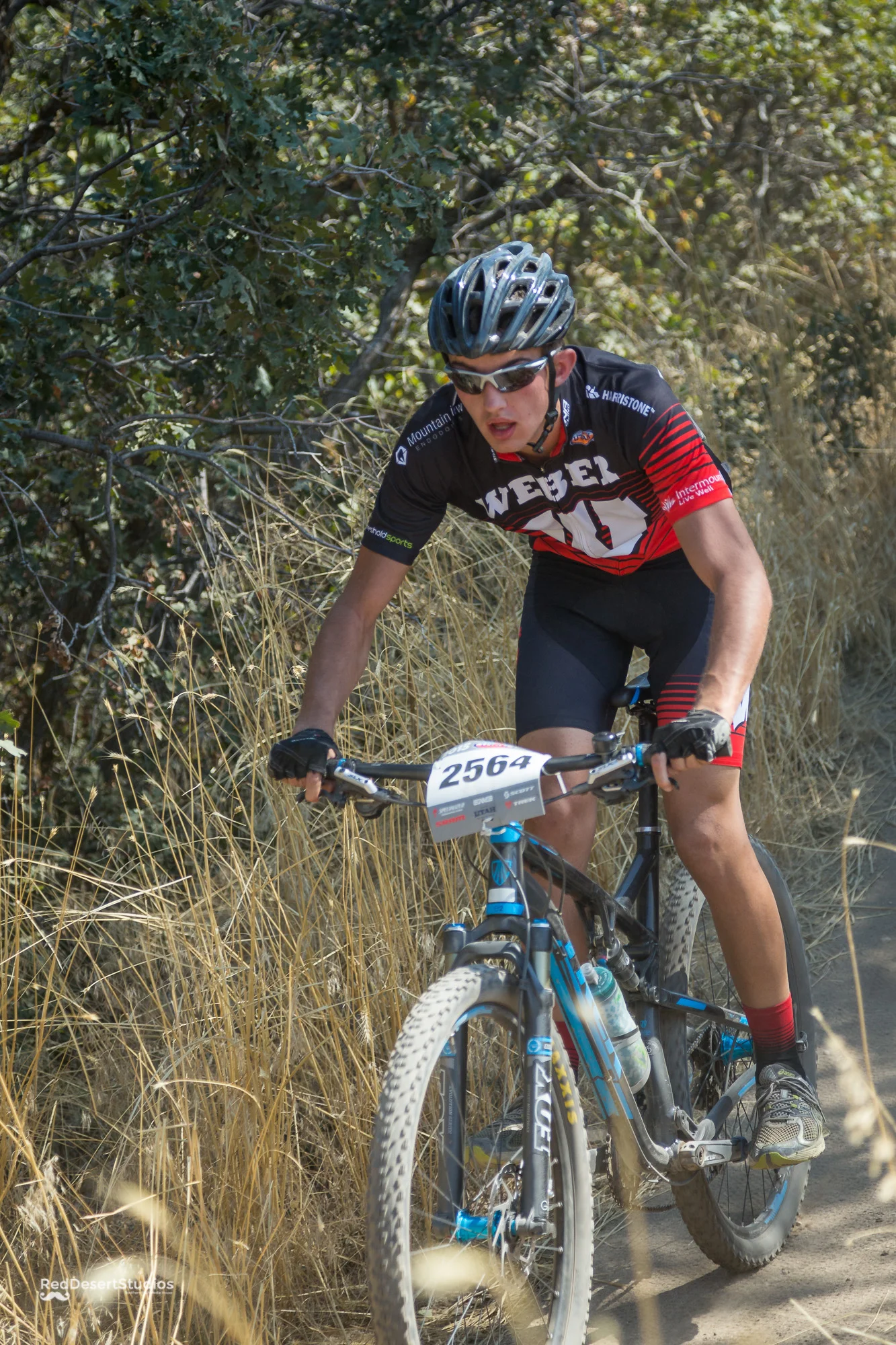 2564 Web (2 of 6).JPG