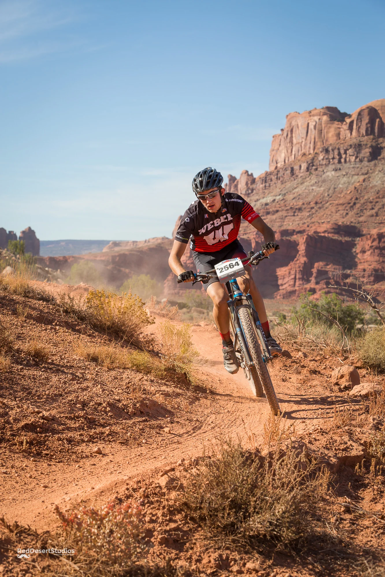 2564 Web (4 of 6).JPG