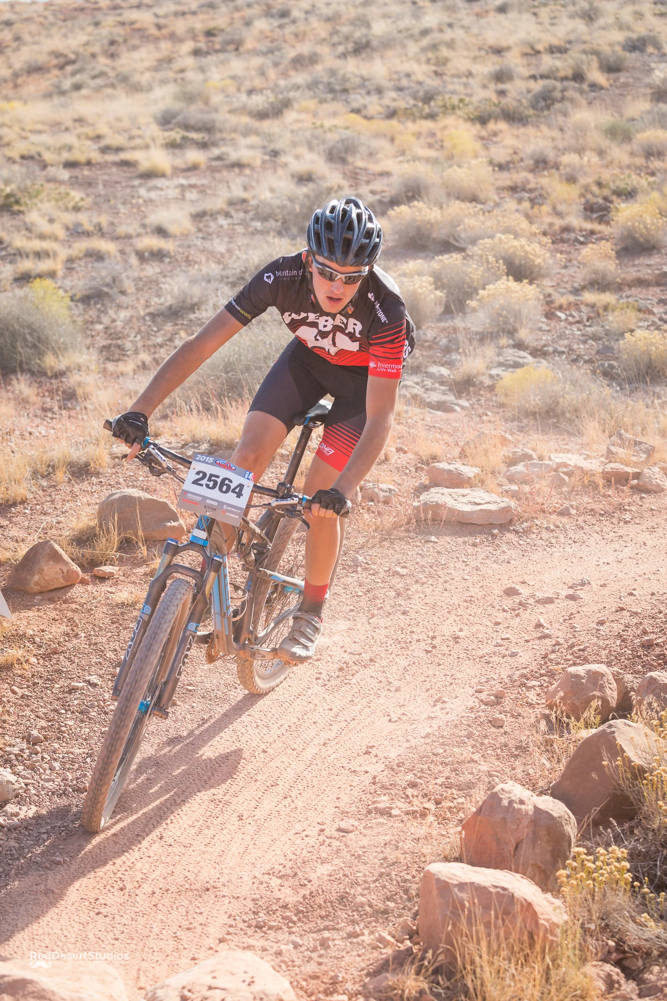 2564 Web (3 of 6).JPG