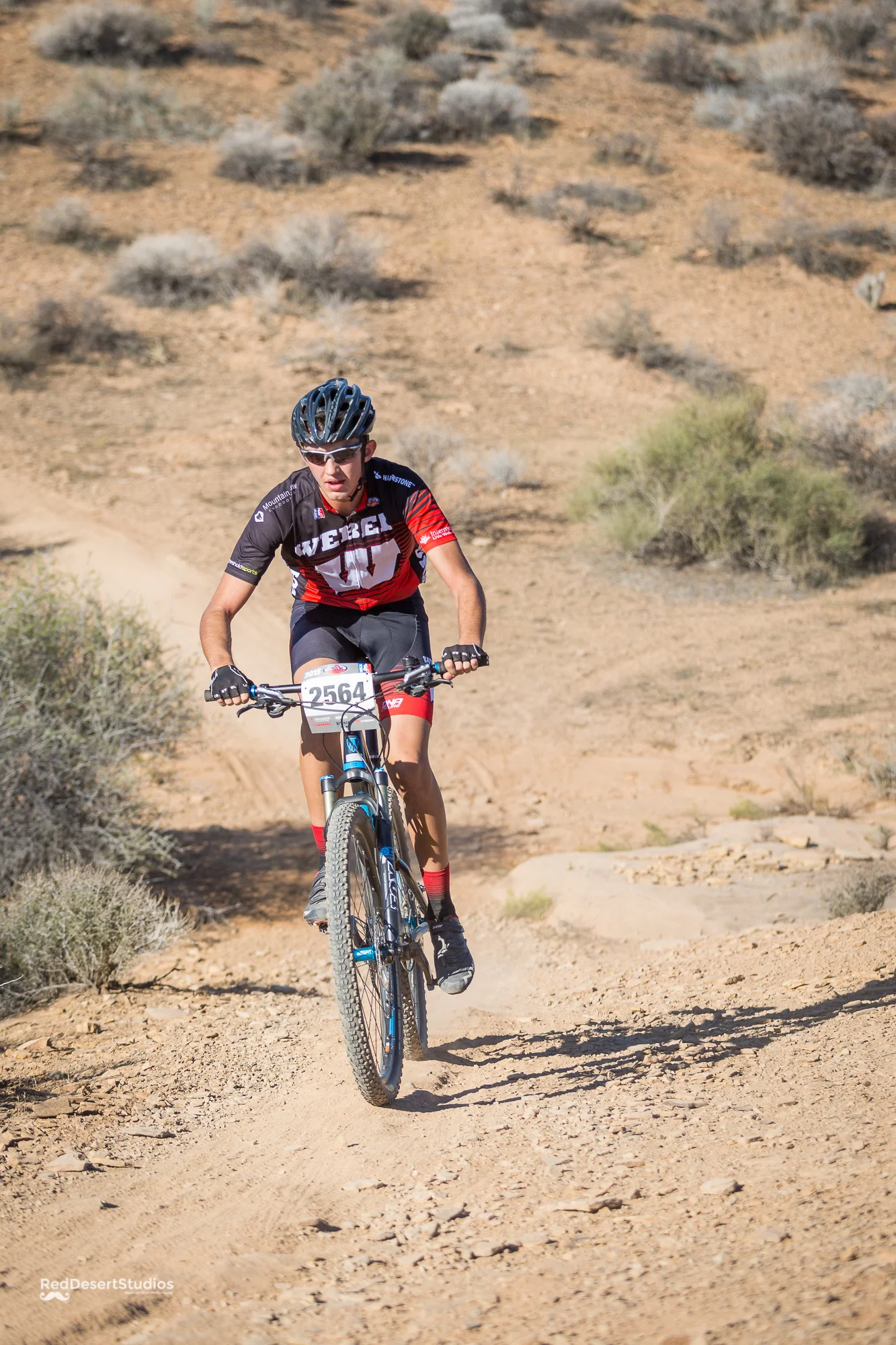 2564 Web (6 of 6).JPG