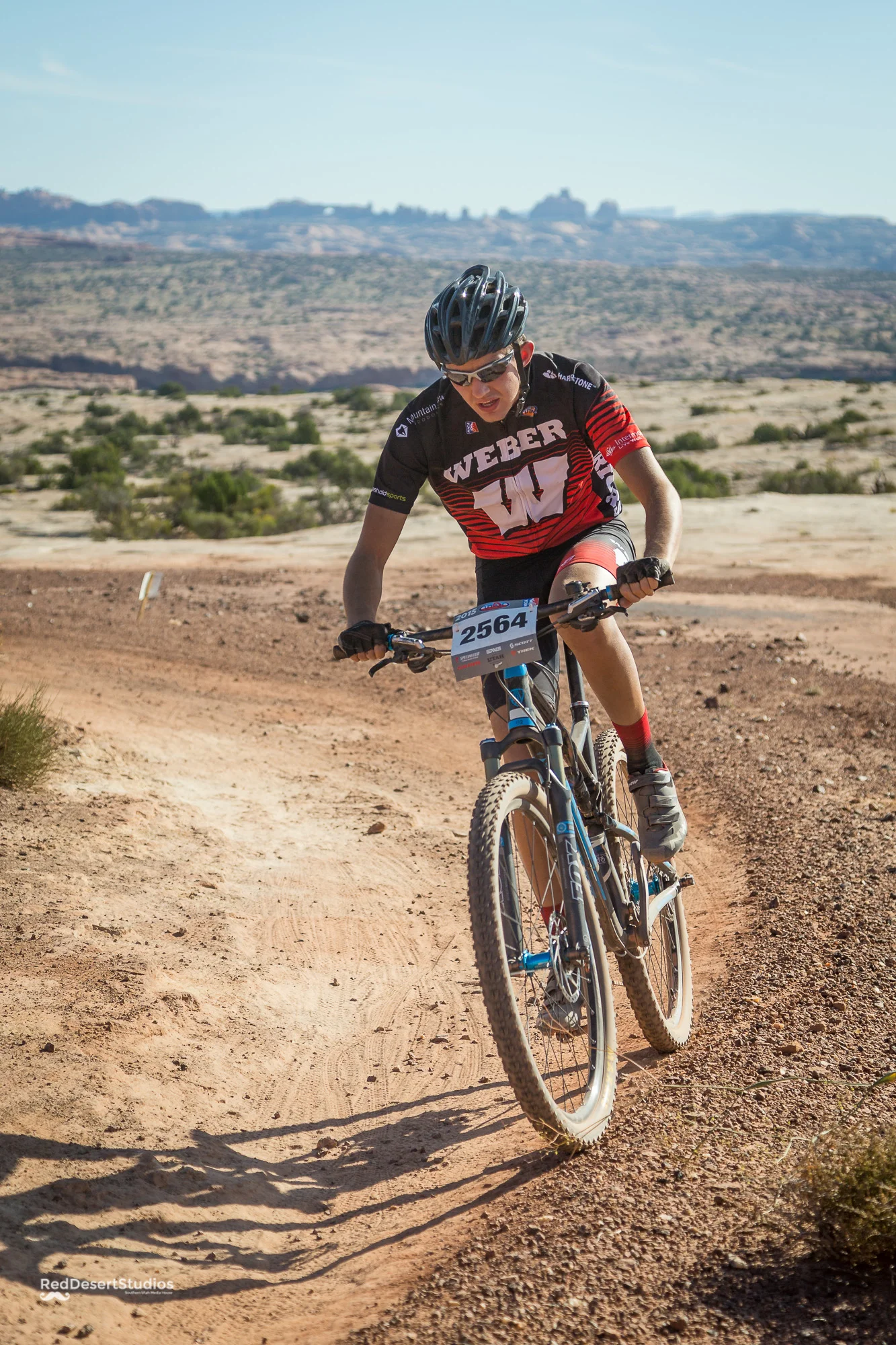 2564 Web (5 of 6).JPG