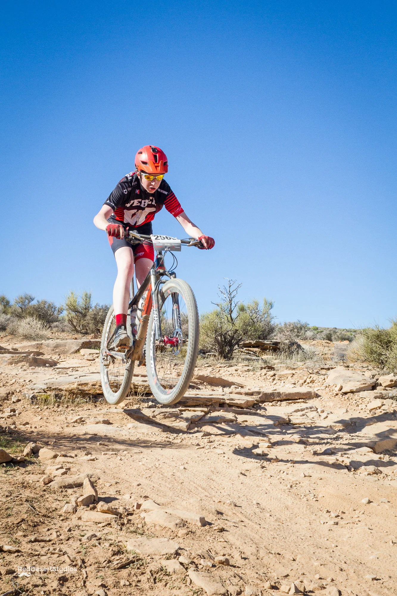 2565 Web (3 of 3).JPG