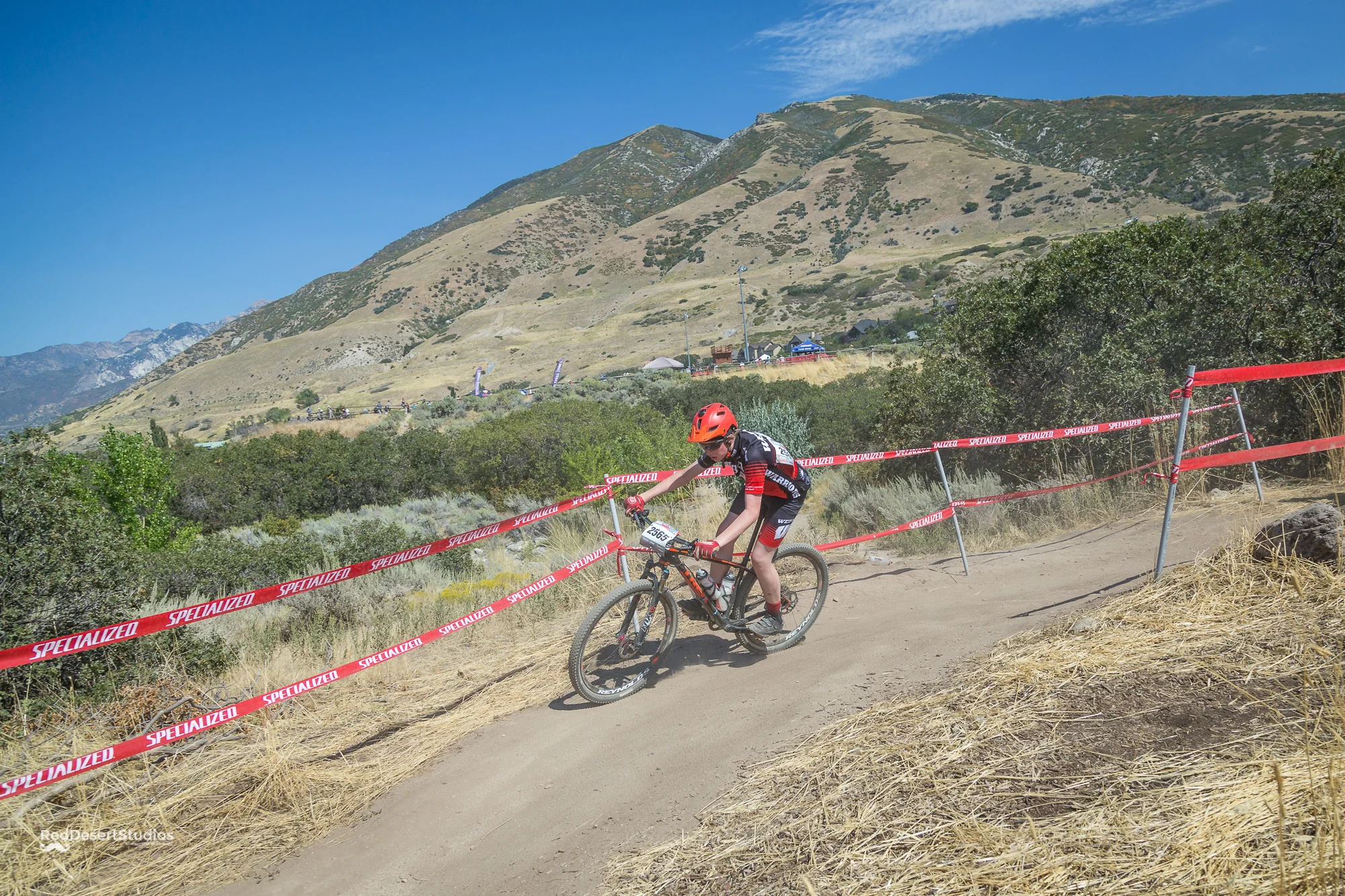 2565 Web (1 of 3).JPG