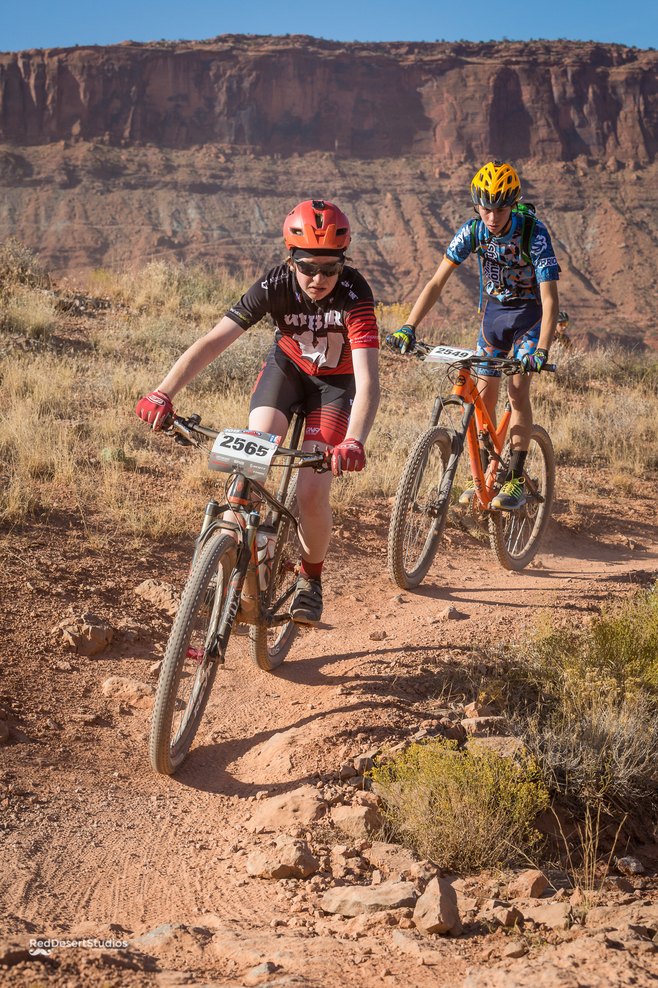 2565 Web (2 of 3).JPG