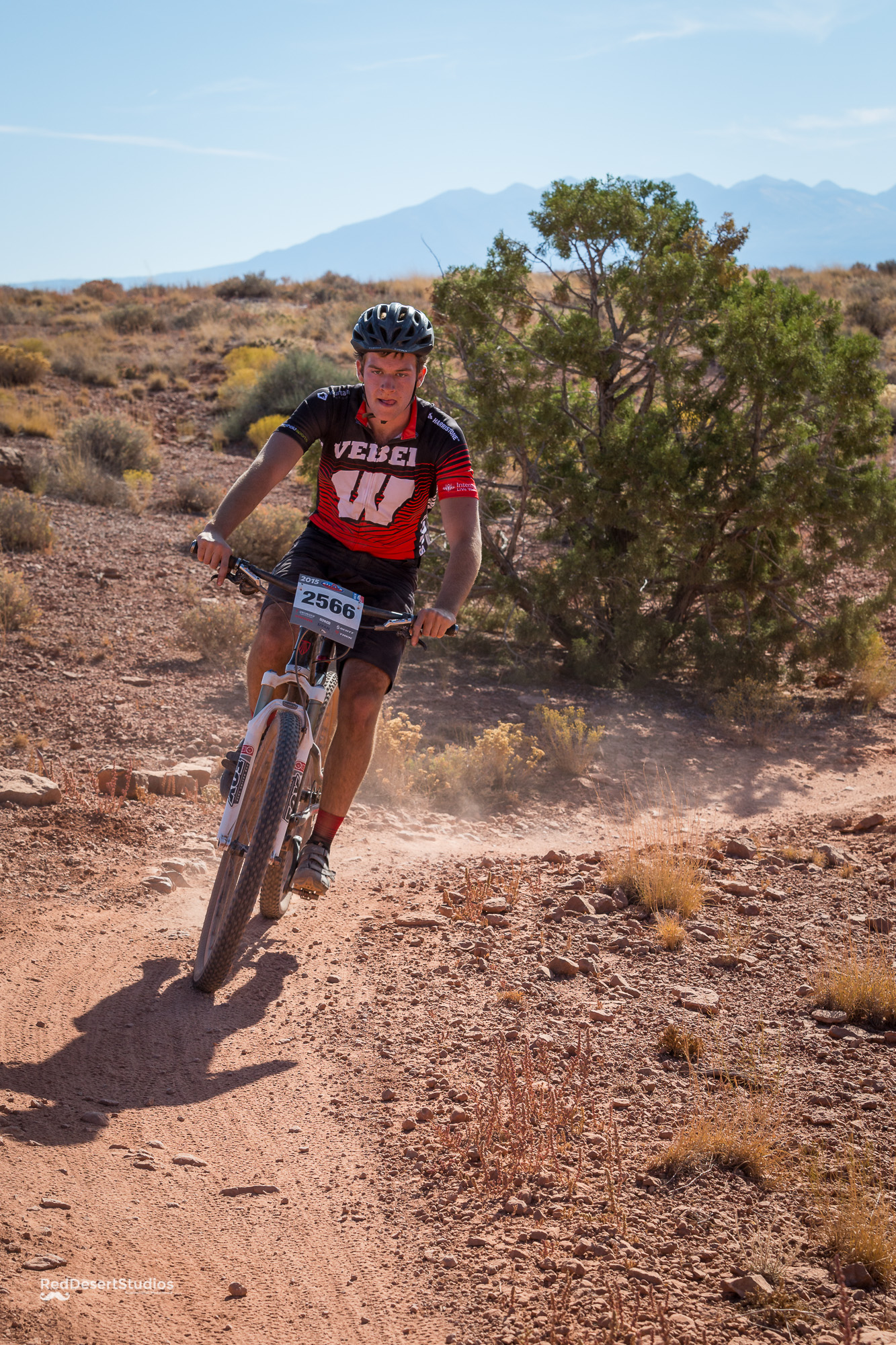 2566 Web (4 of 6).JPG