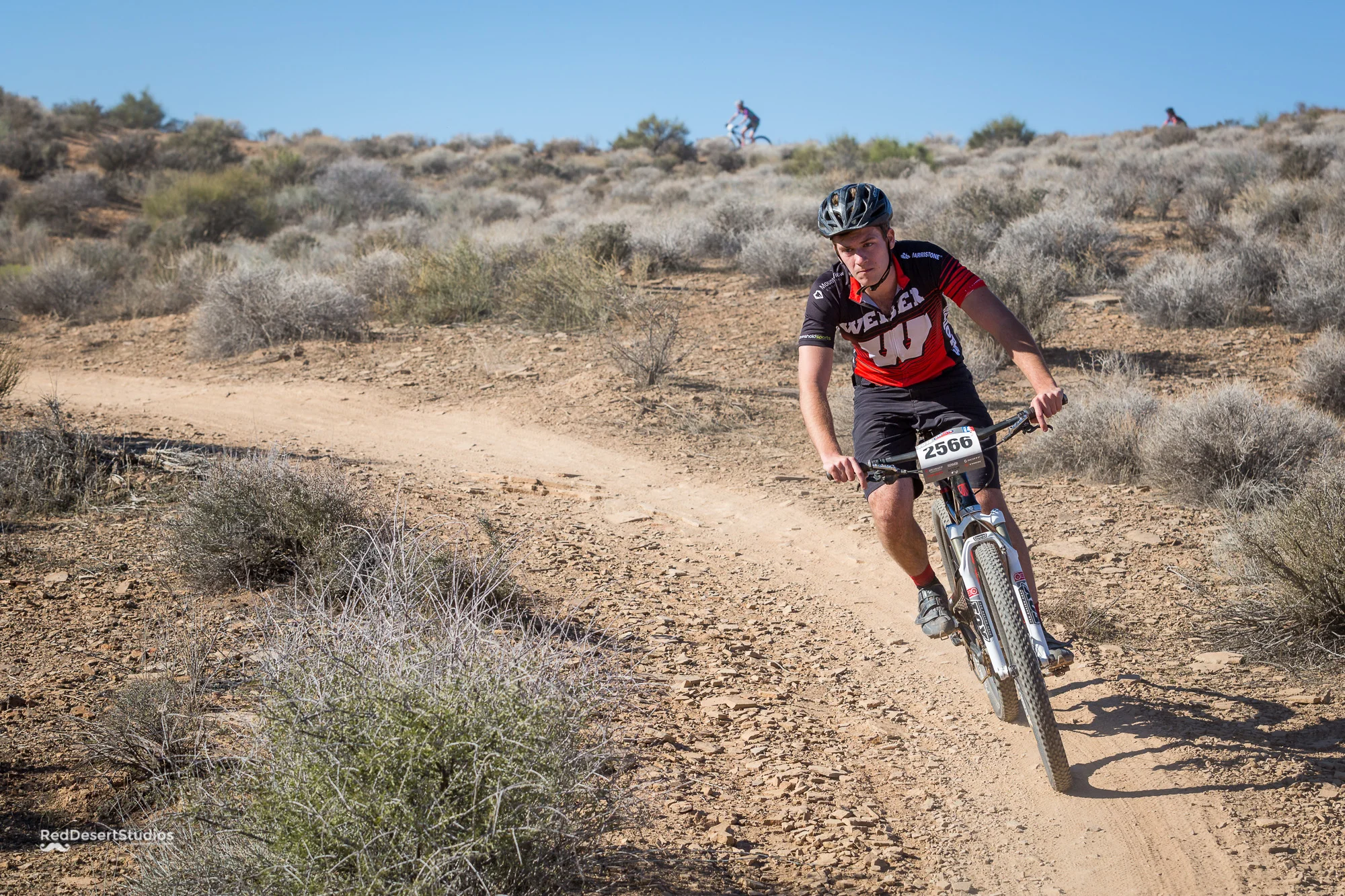 2566 Web (5 of 6).JPG