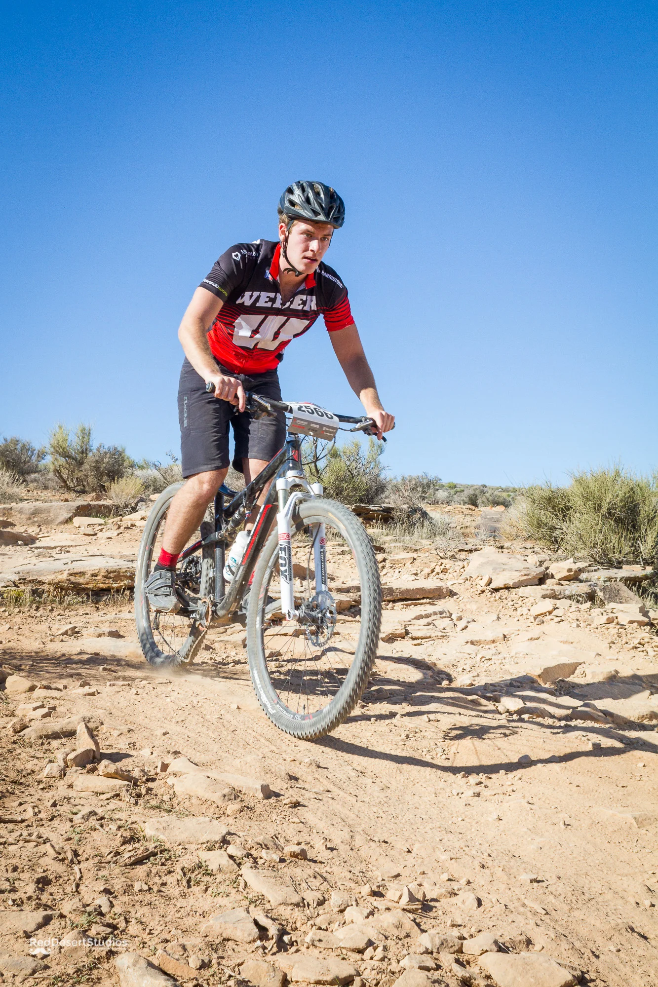 2566 Web (6 of 6).JPG