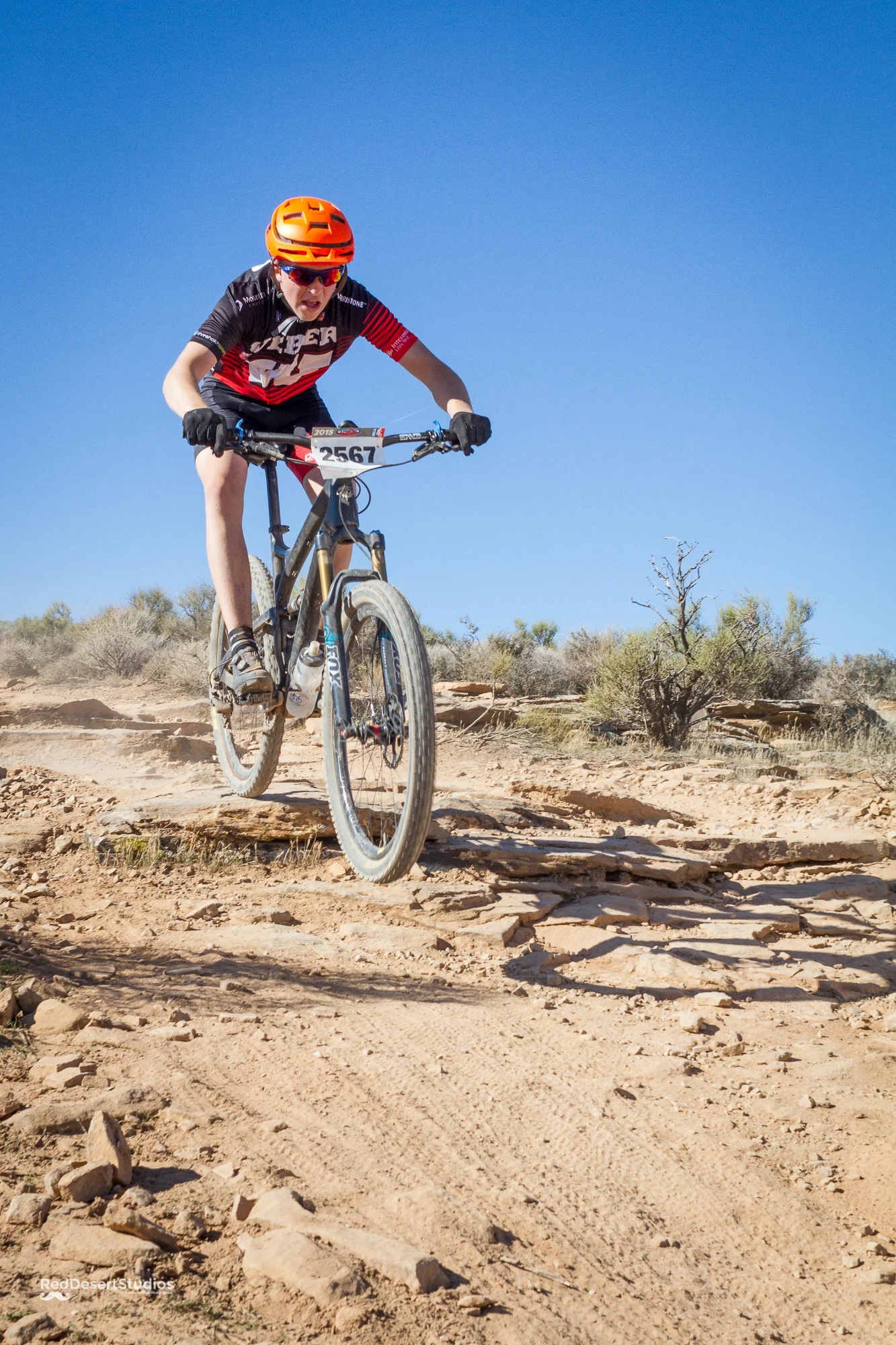 2567 Web  (7 of 7).JPG