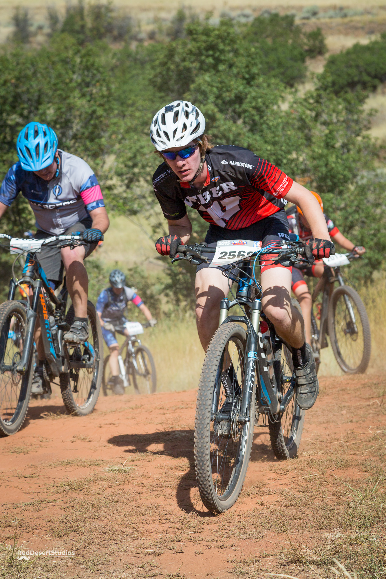 2568 Web (1 of 3).JPG