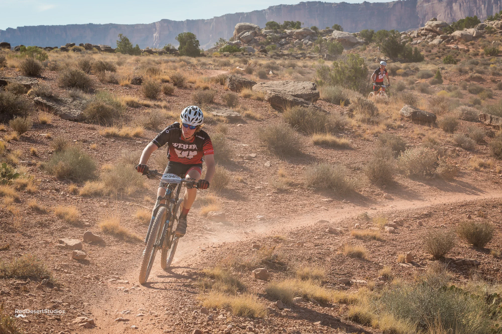 2568 Web (2 of 3).JPG