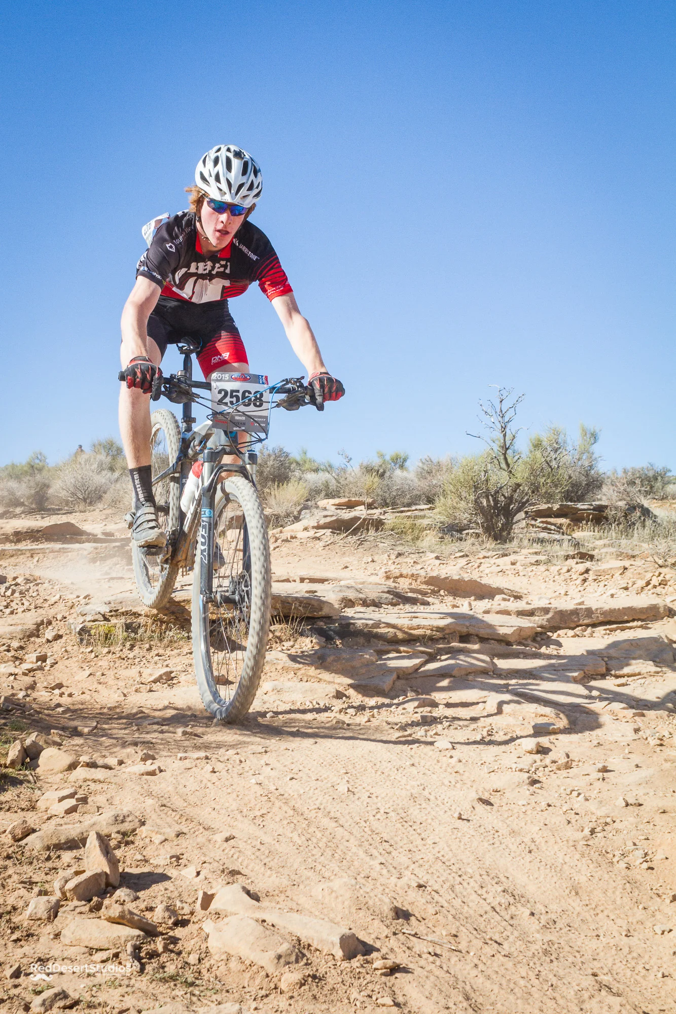 2568 Web (3 of 3).JPG