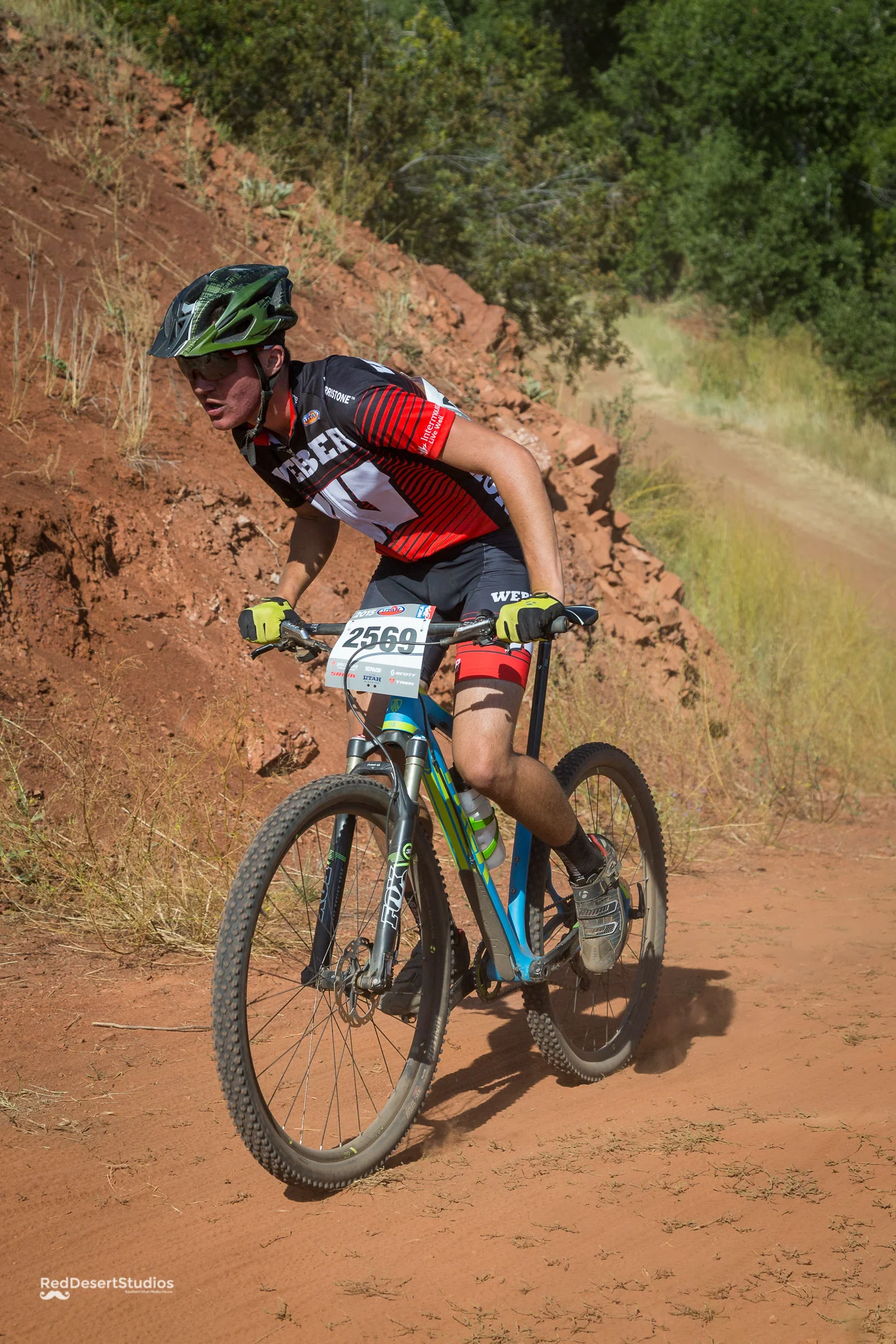 2569 Web (1 of 4).JPG