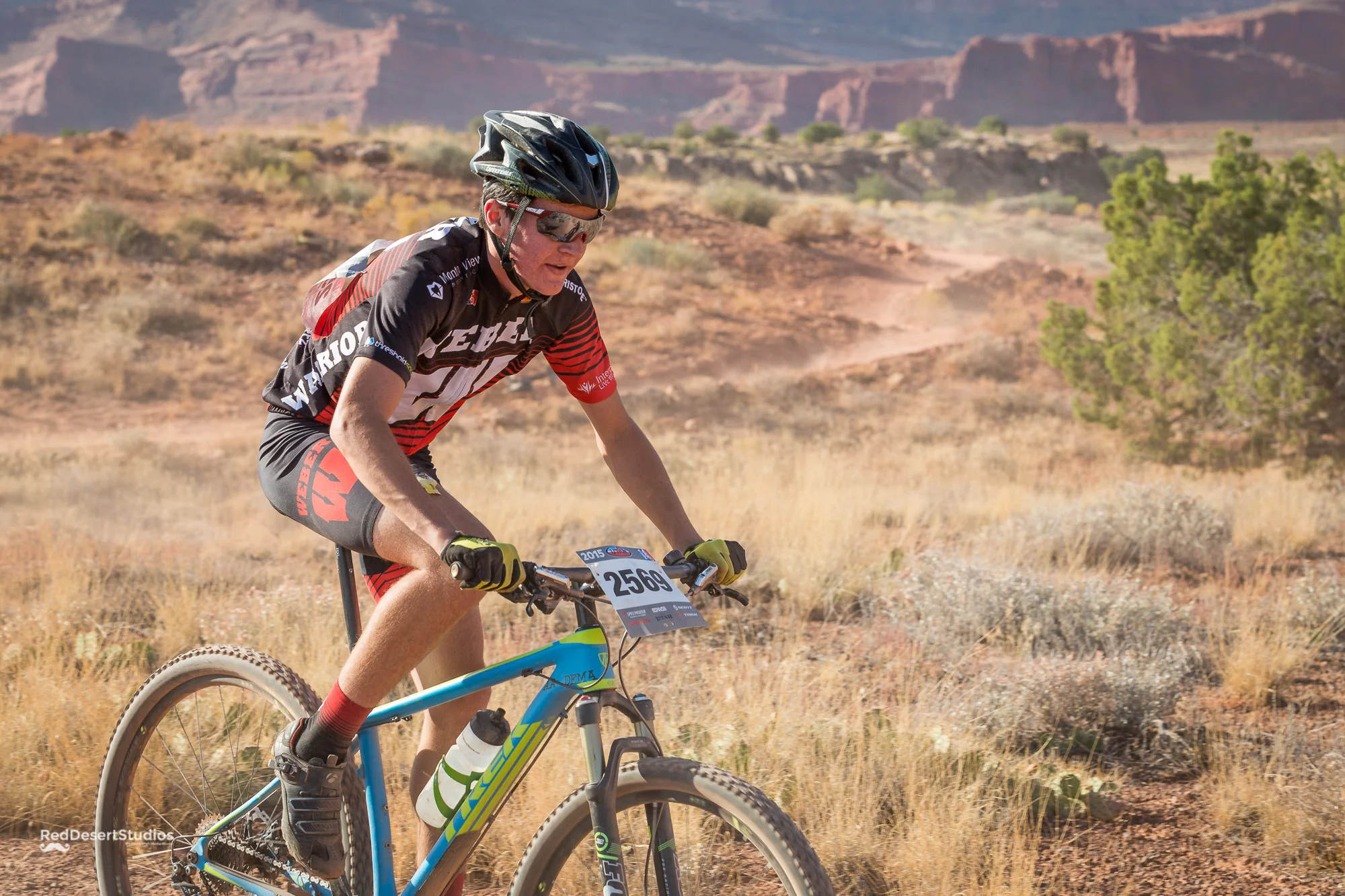 2569 Web (2 of 4).JPG