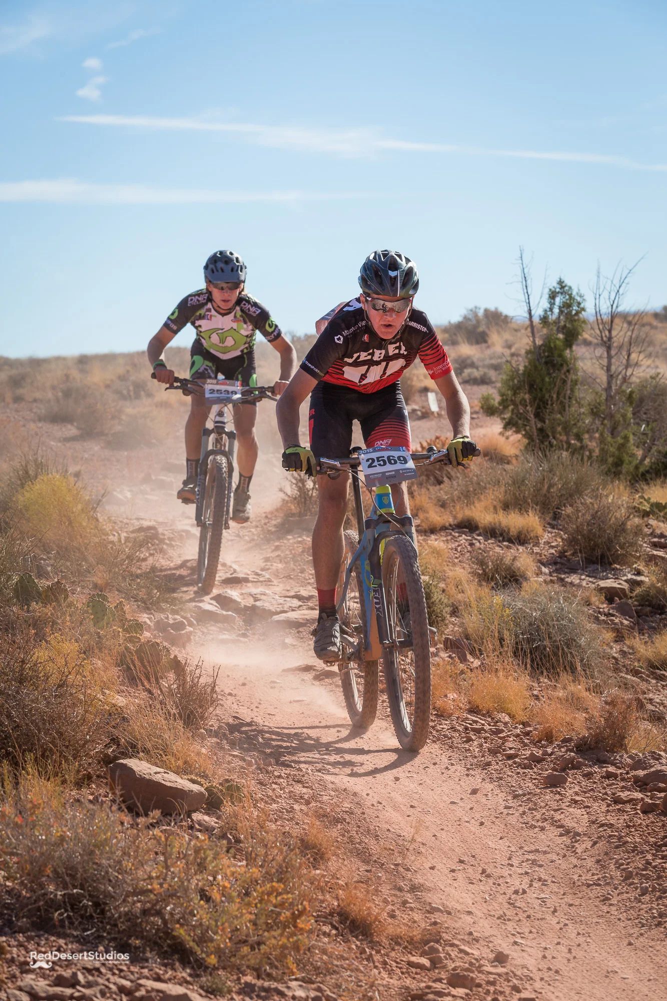 2569 Web (3 of 4).JPG