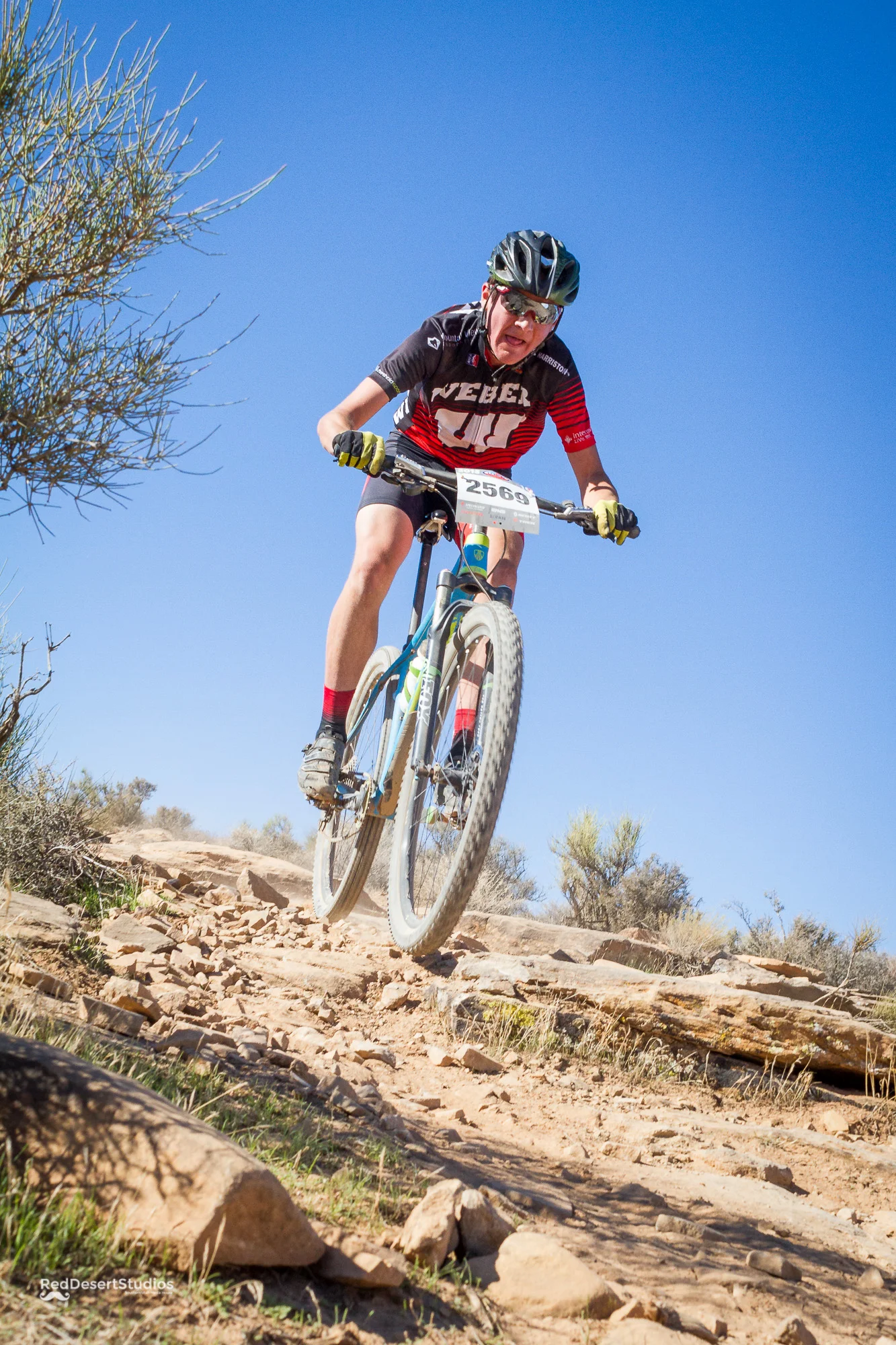 2569 Web (4 of 4).JPG