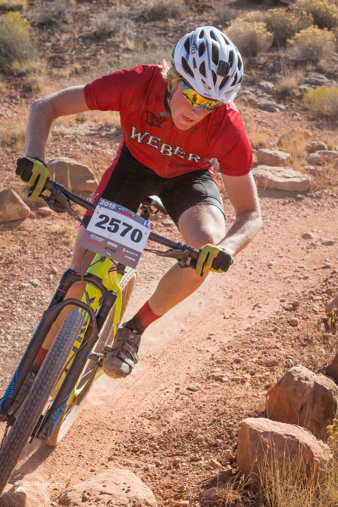 2570 Web (3 of 5).JPG