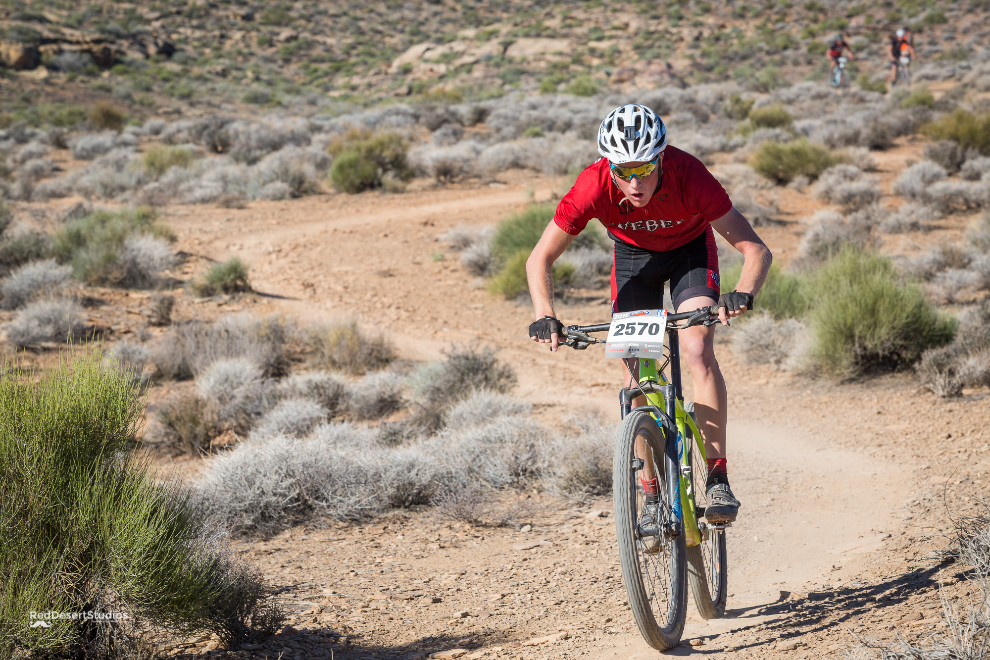 2570 Web (5 of 5).JPG