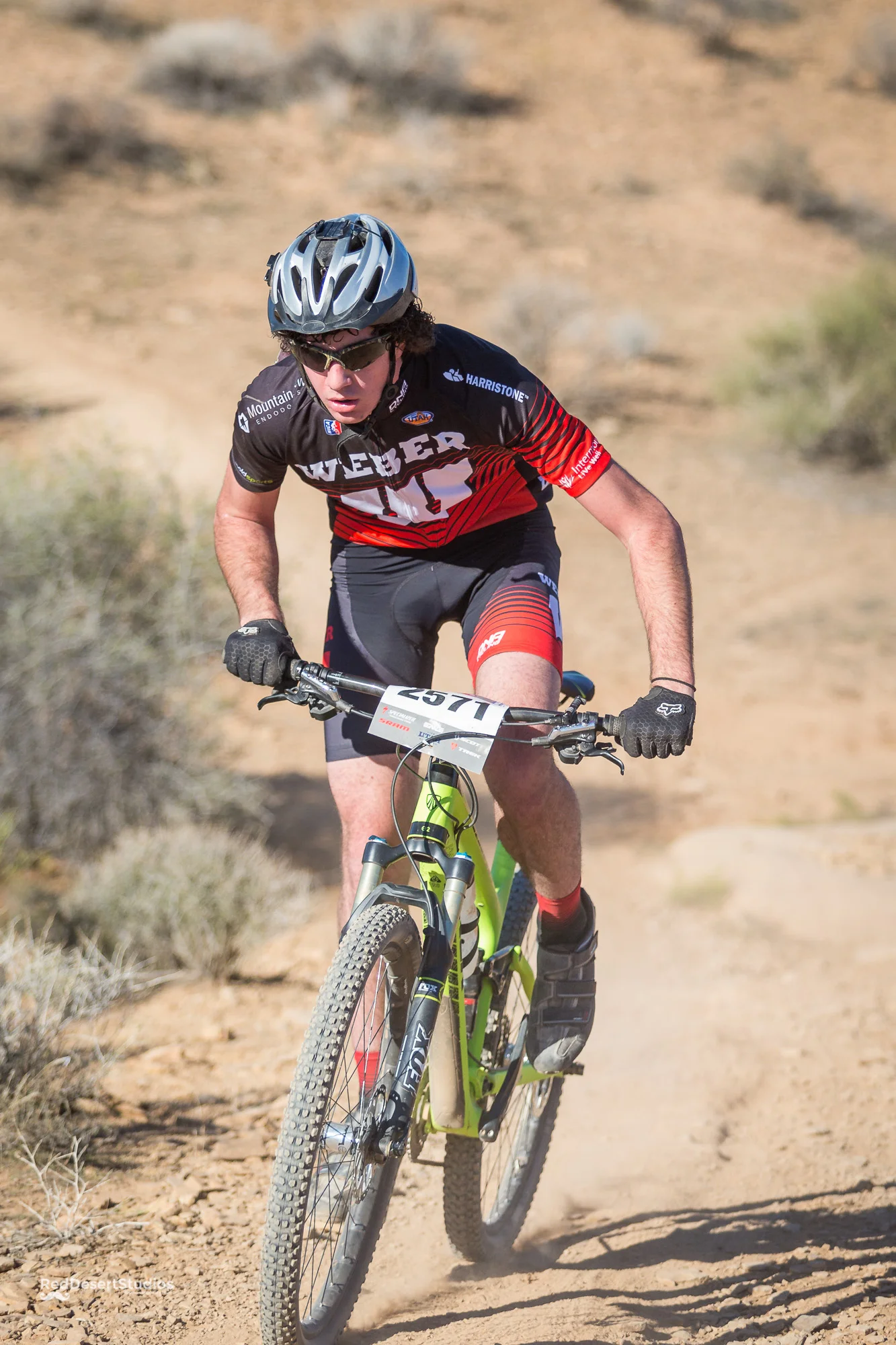 2571 Web (3 of 4).JPG