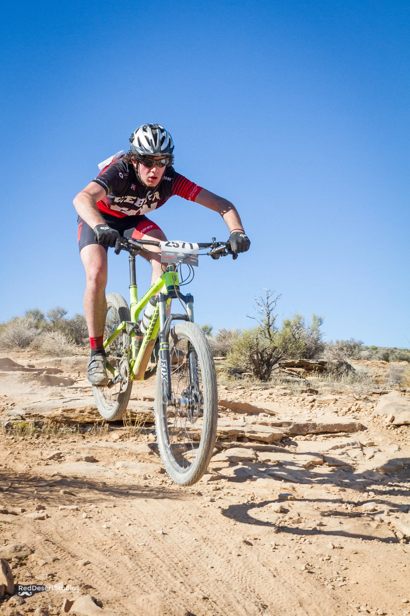 2571 Web (4 of 4).JPG