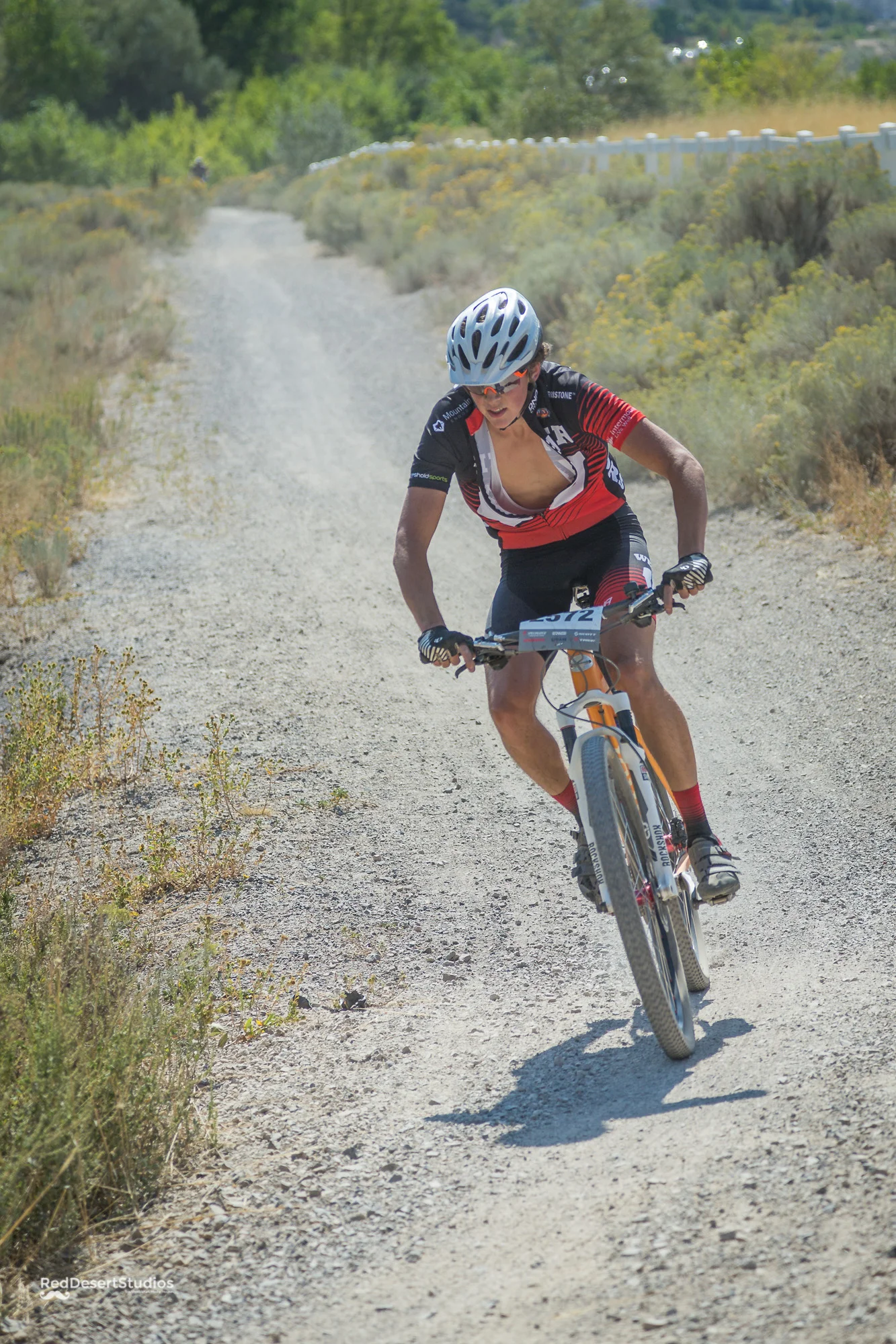 2572 Web (2 of 4).JPG