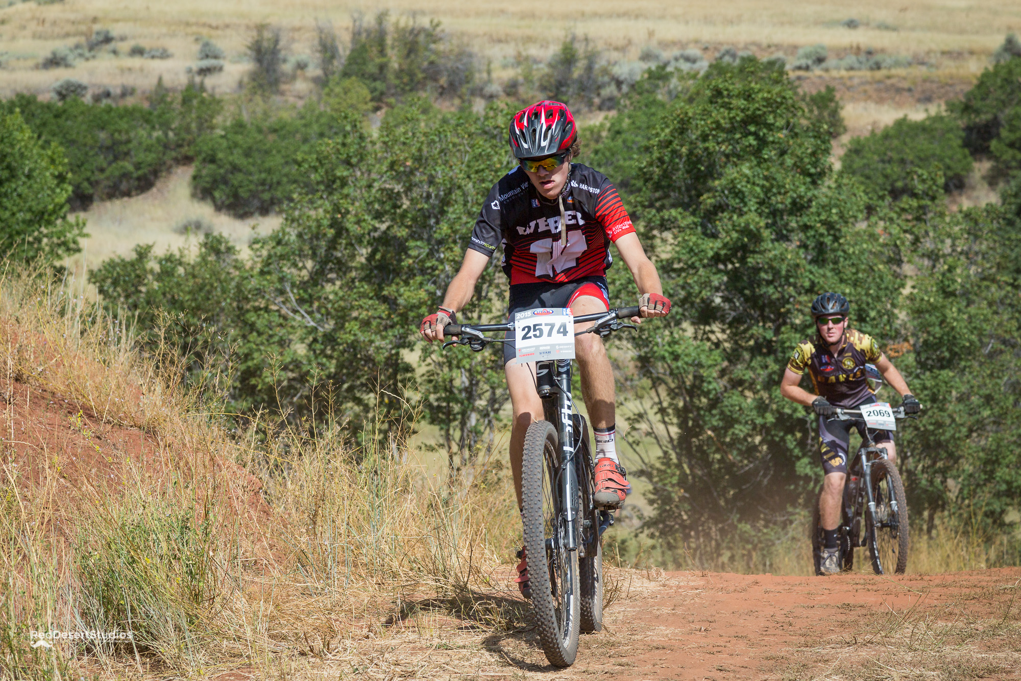 2574 Web  (1 of 5).JPG