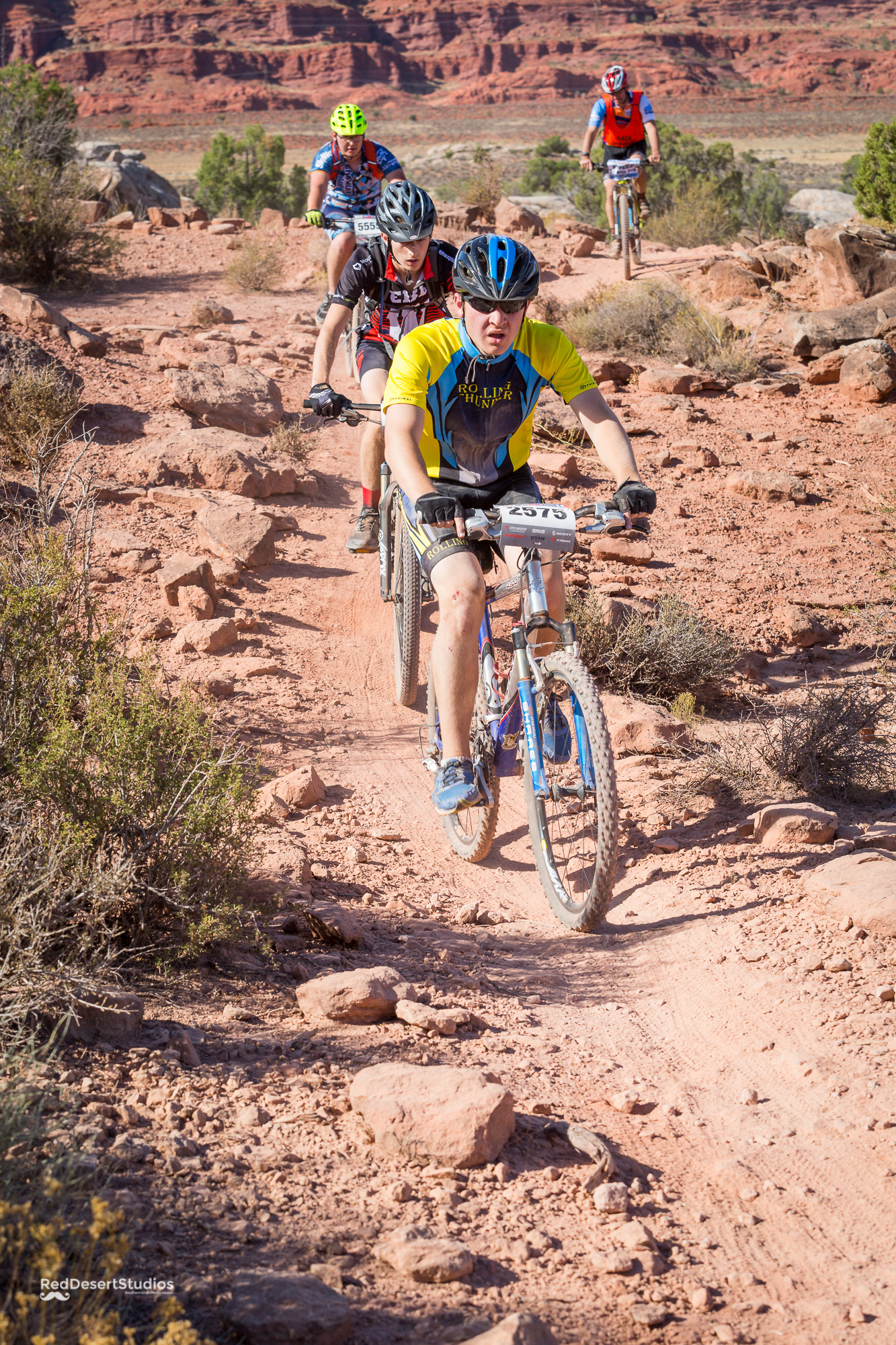 2575 Web (3 of 5).JPG