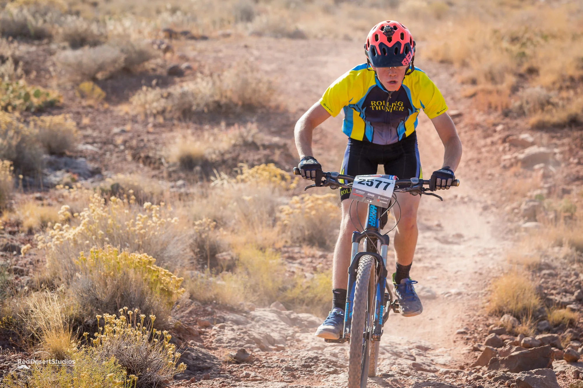 2577 Web (3 of 5).JPG