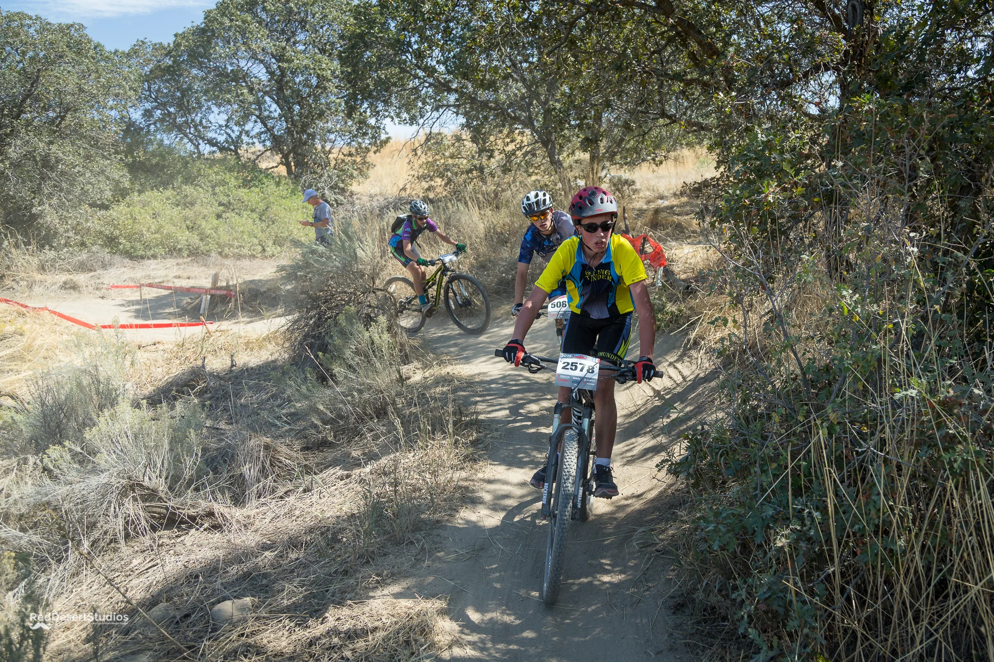 2578 Web (2 of 5).JPG