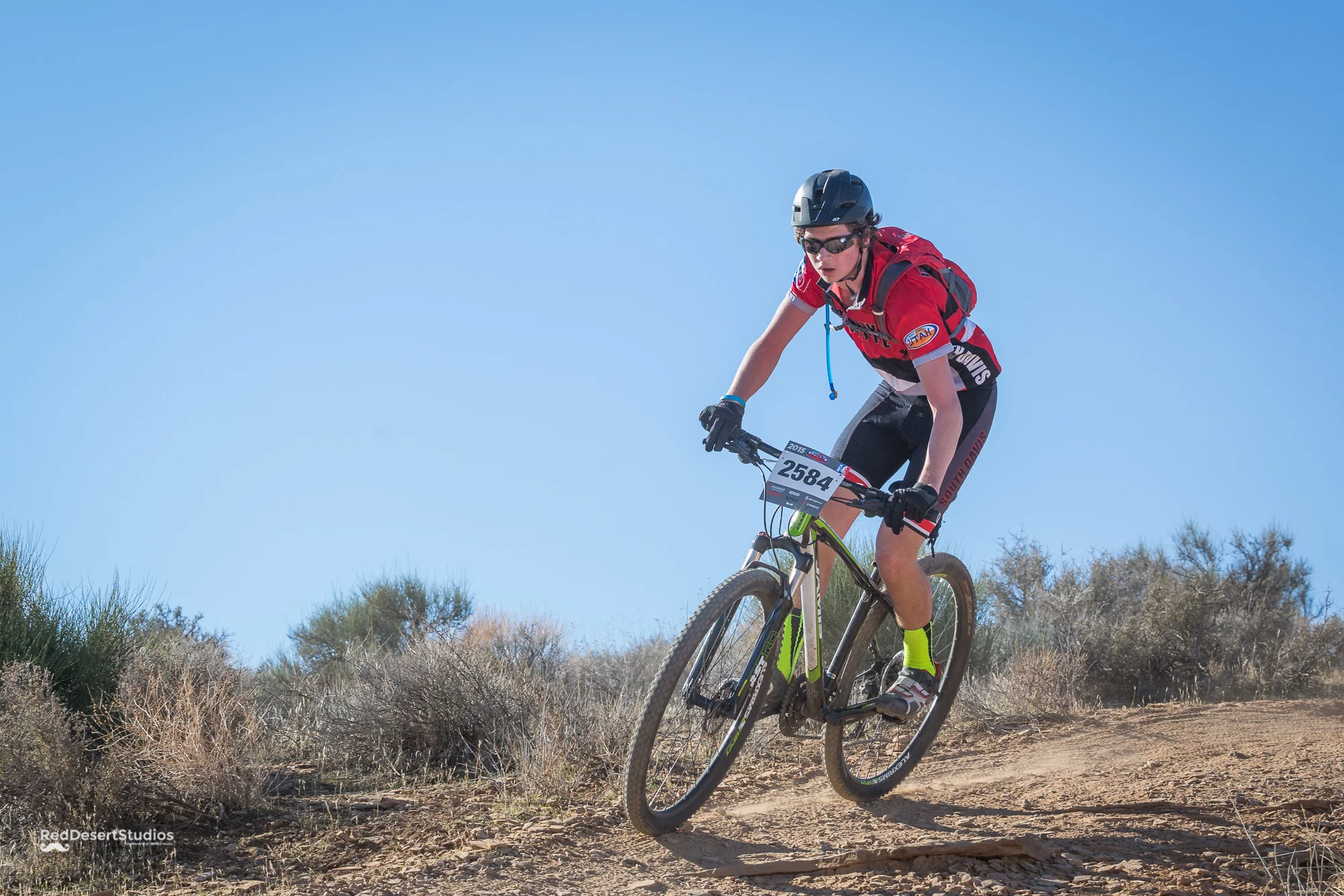 2584 Web (1 of 2).JPG