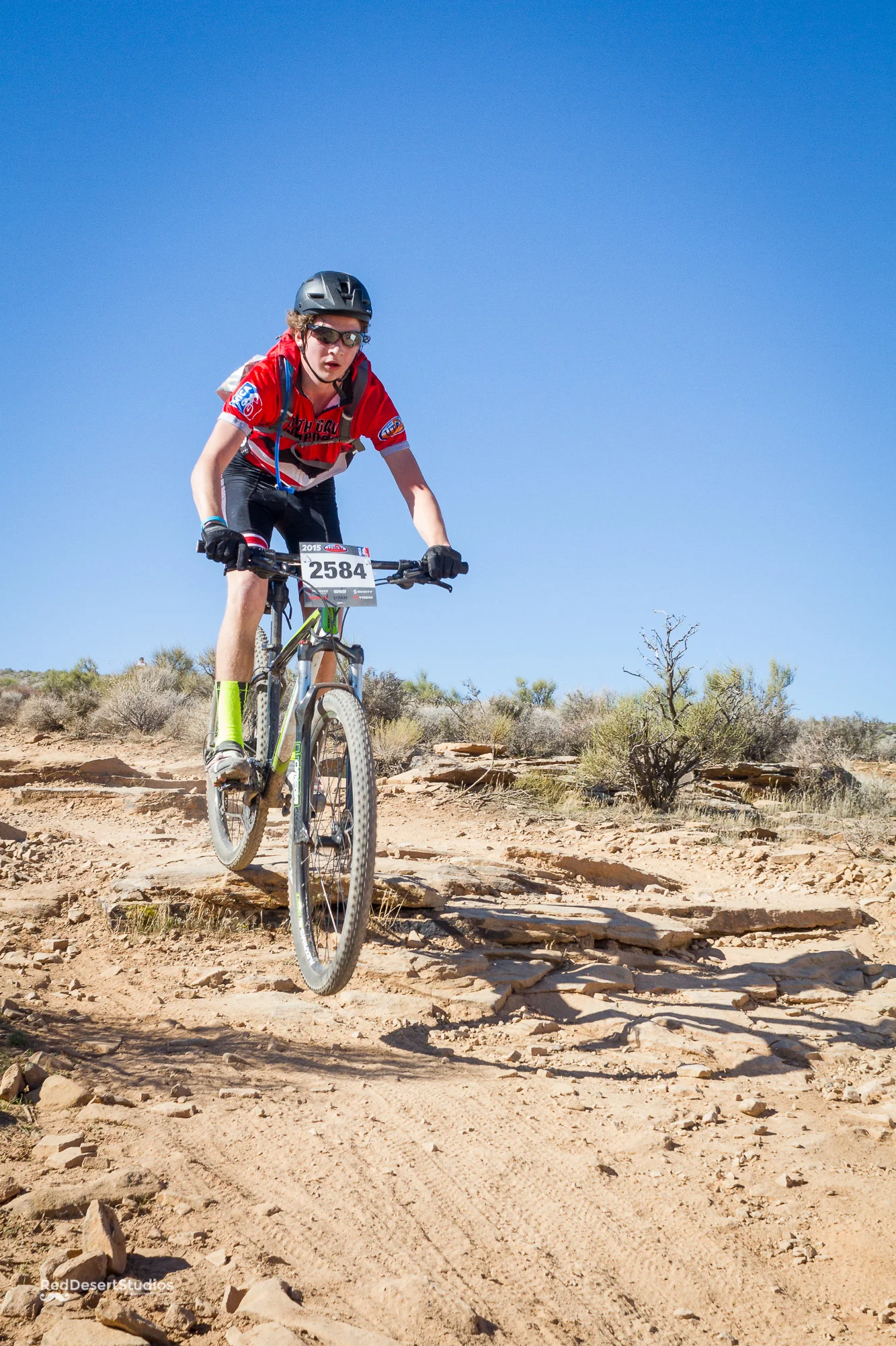 2584 Web (2 of 2).JPG