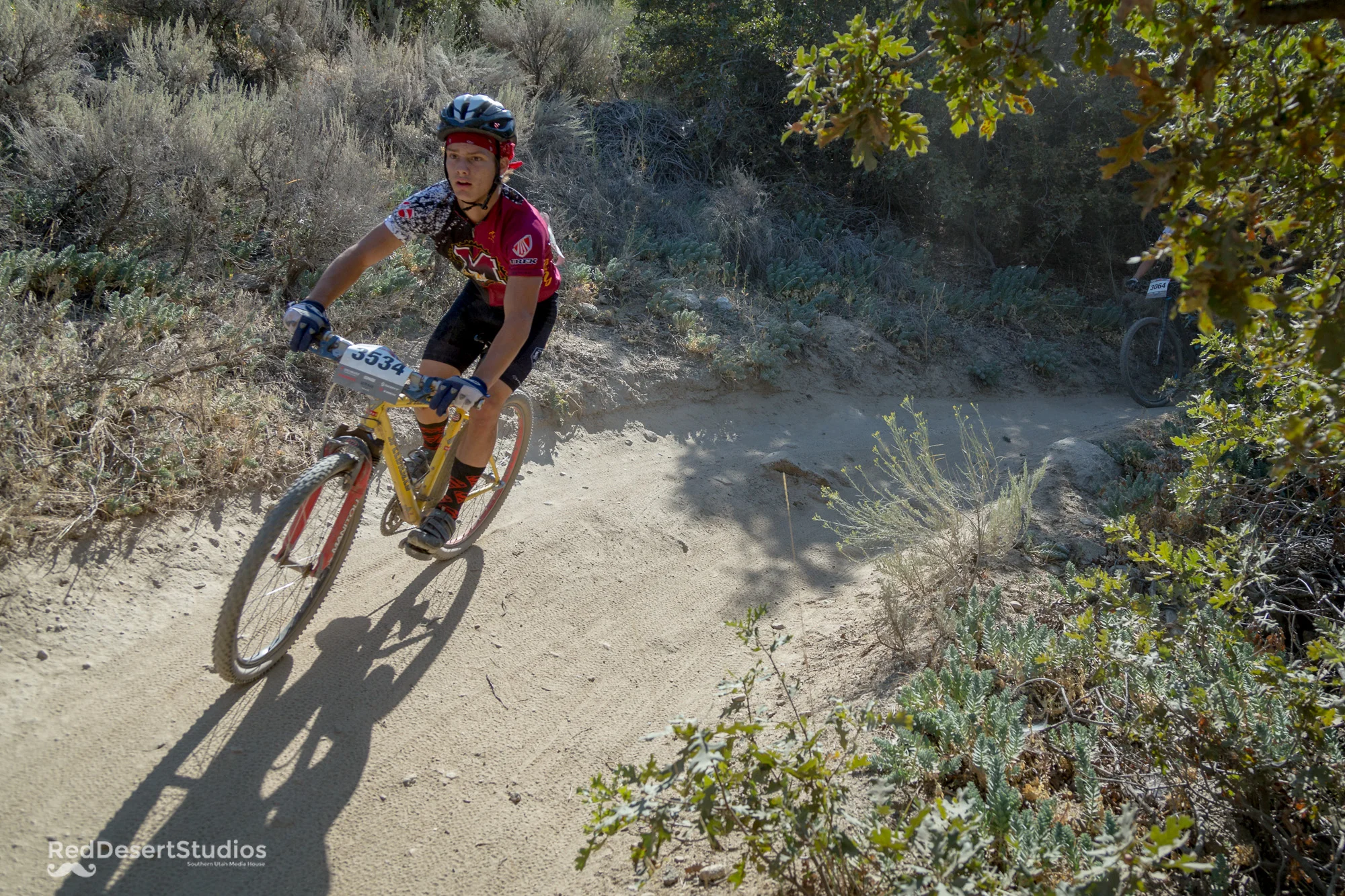 3534 web (1 of 4).jpg