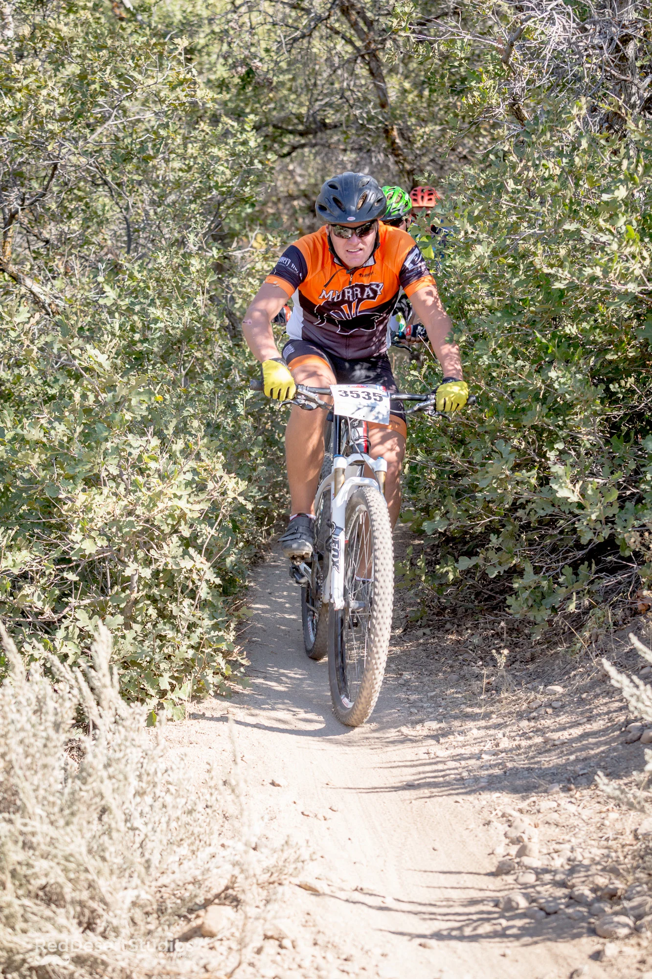 3535 web (1 of 7).jpg
