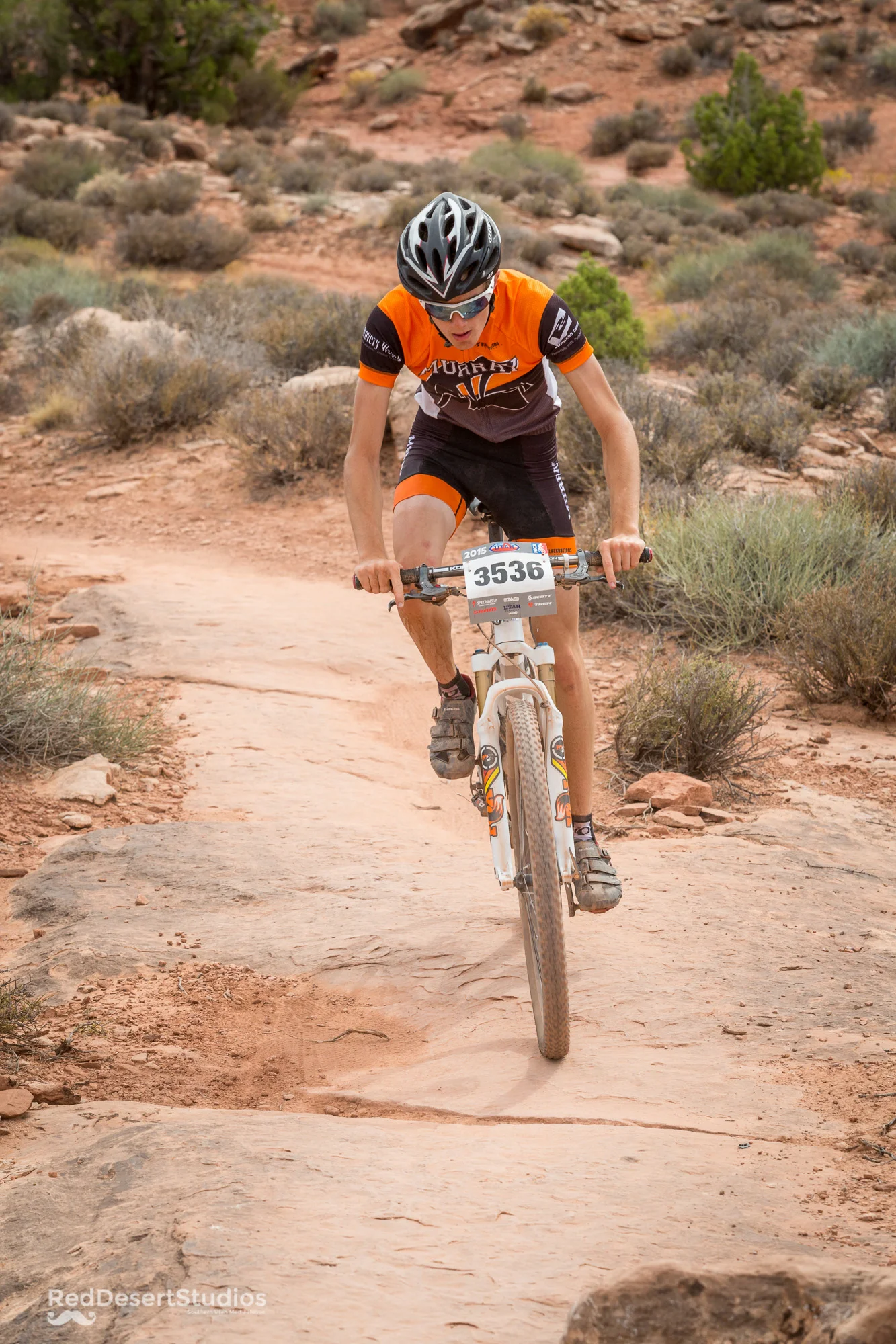 3536 web (4 of 9).jpg