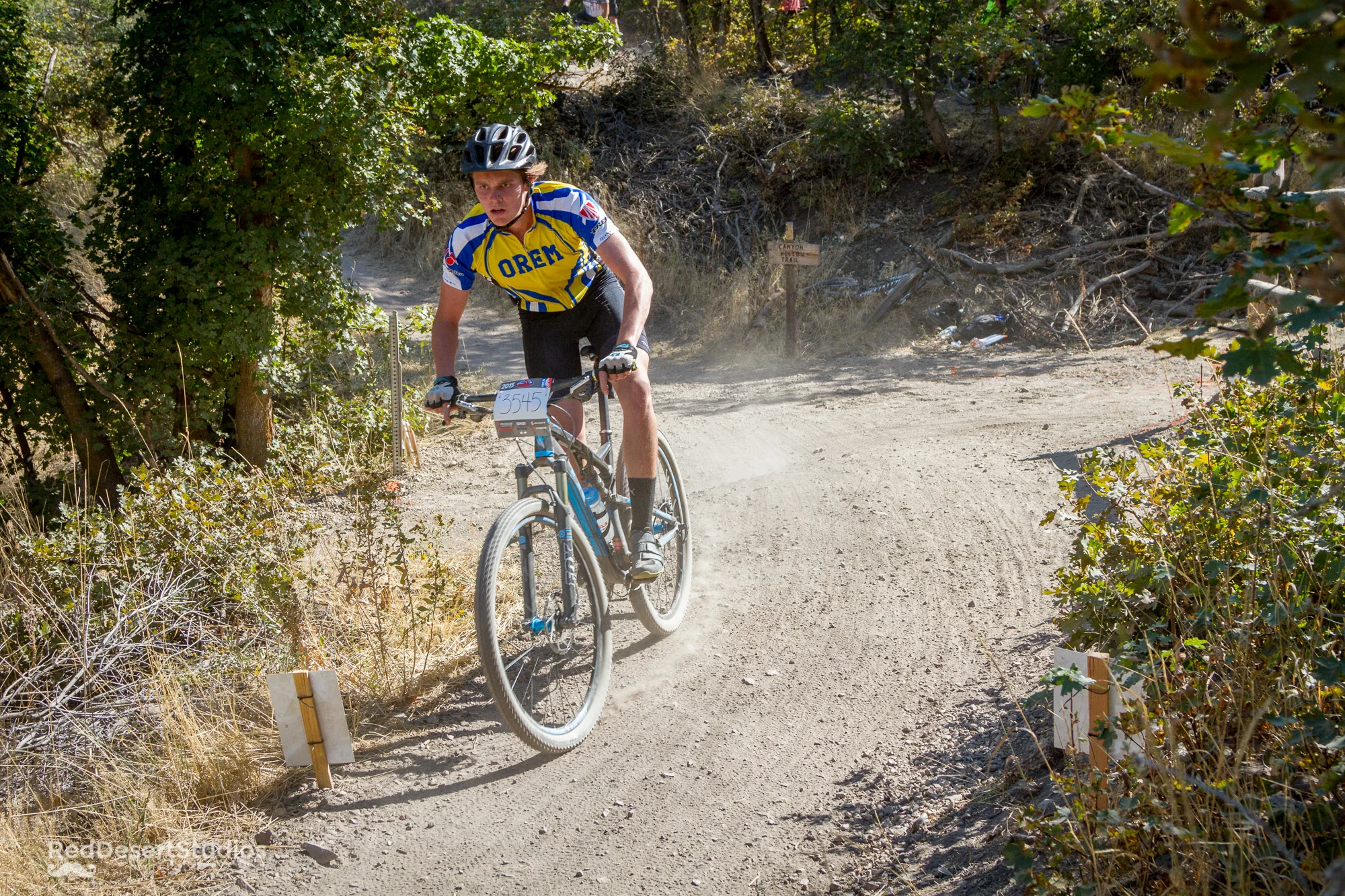 3545 web (4 of 6).jpg