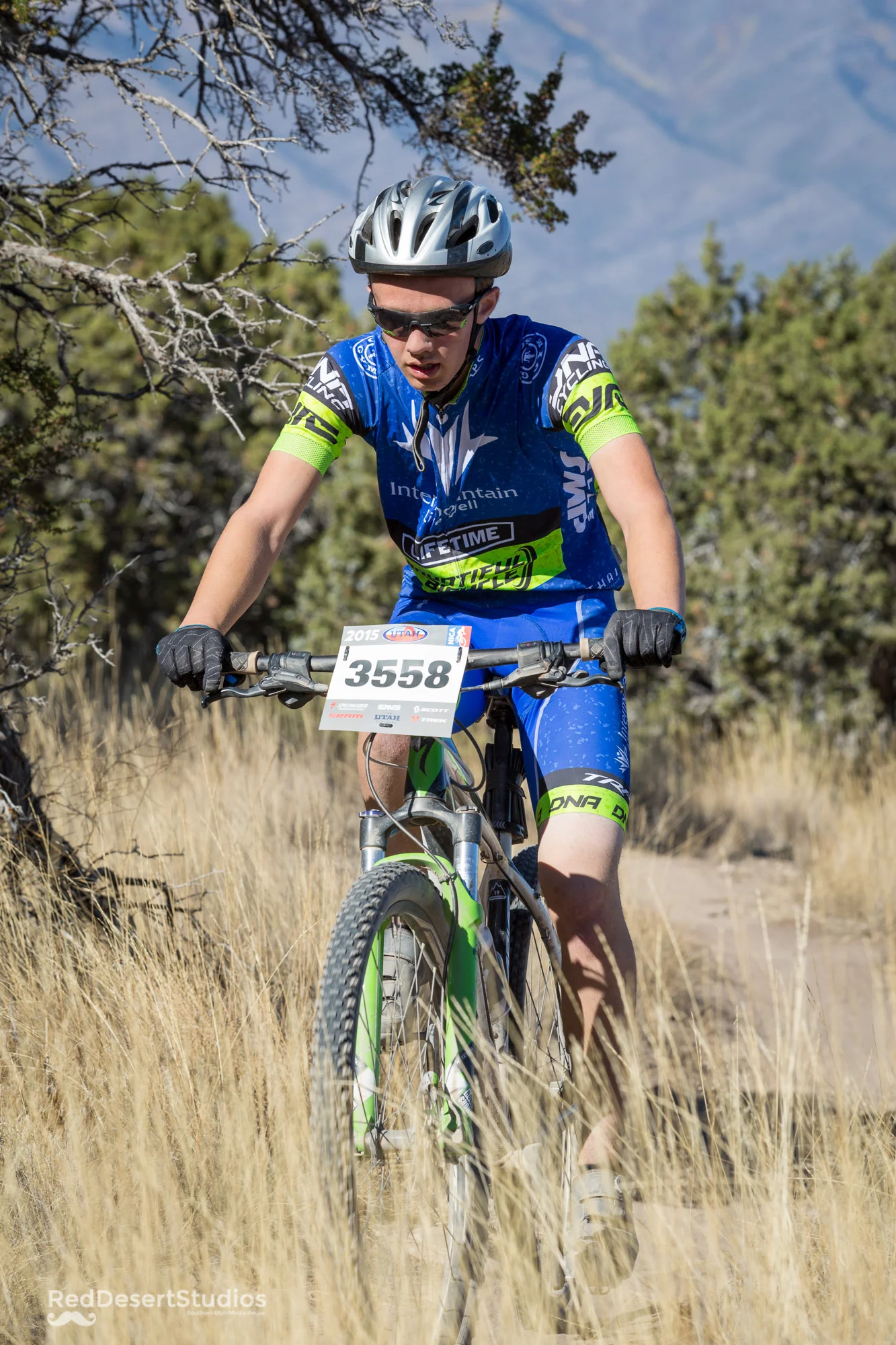 3558 web (8 of 10).jpg