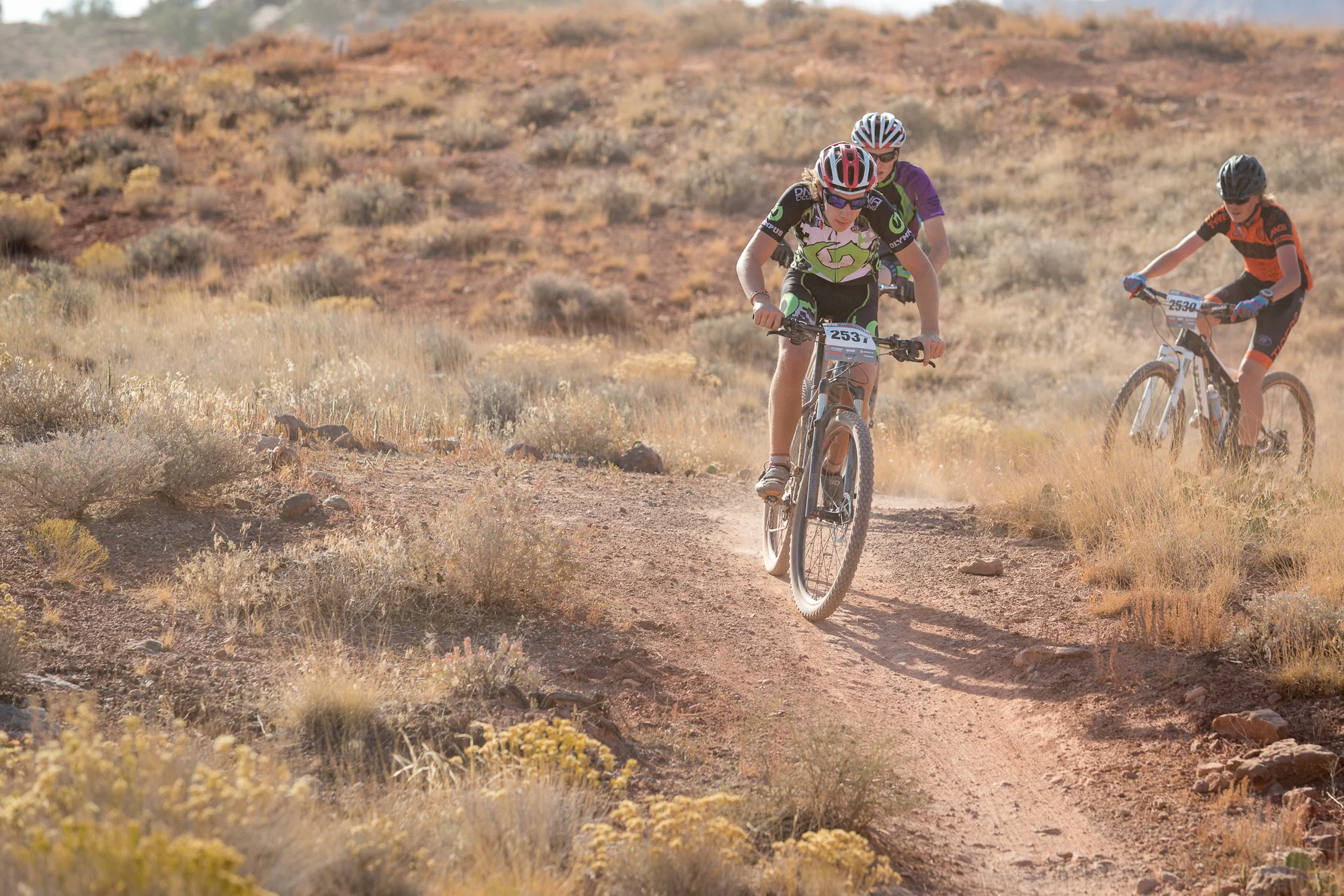 2537 Web (3 of 7).JPG