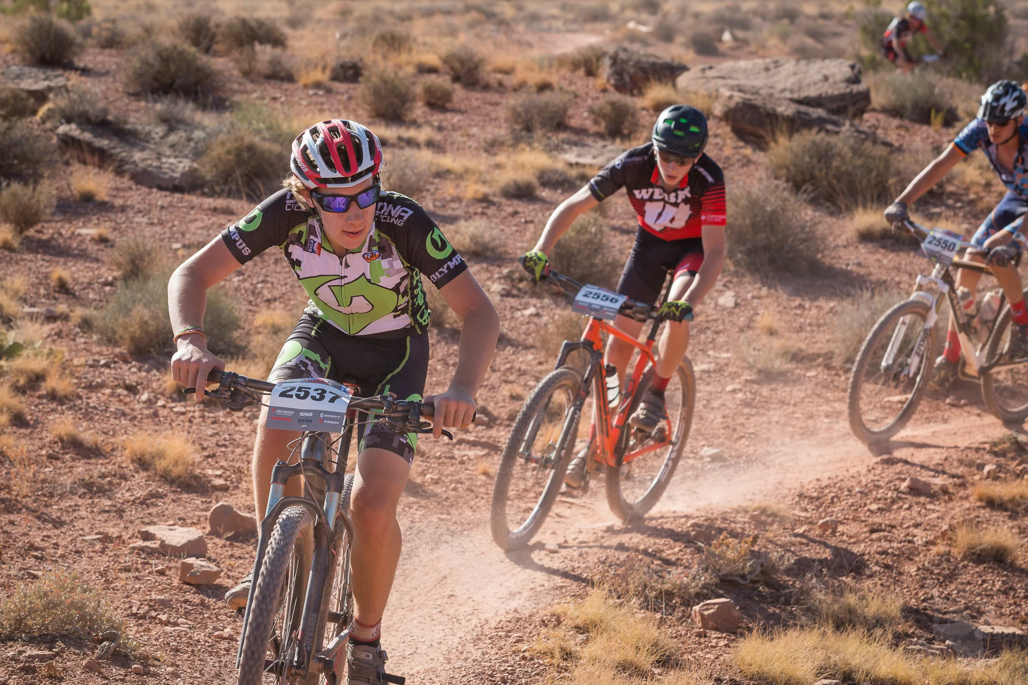 2537 Web (5 of 7).JPG