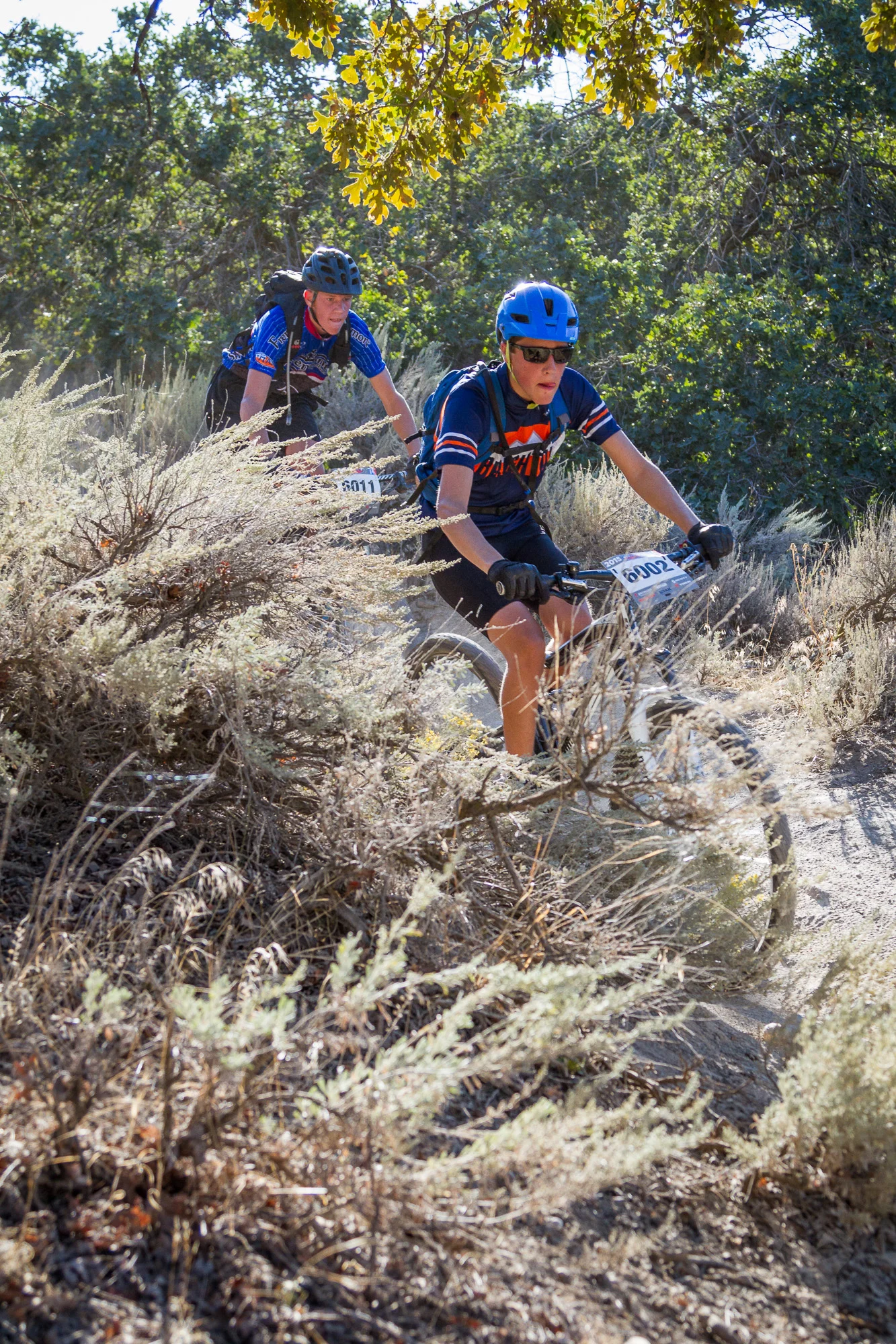 6002 Web (2 of 8).JPG